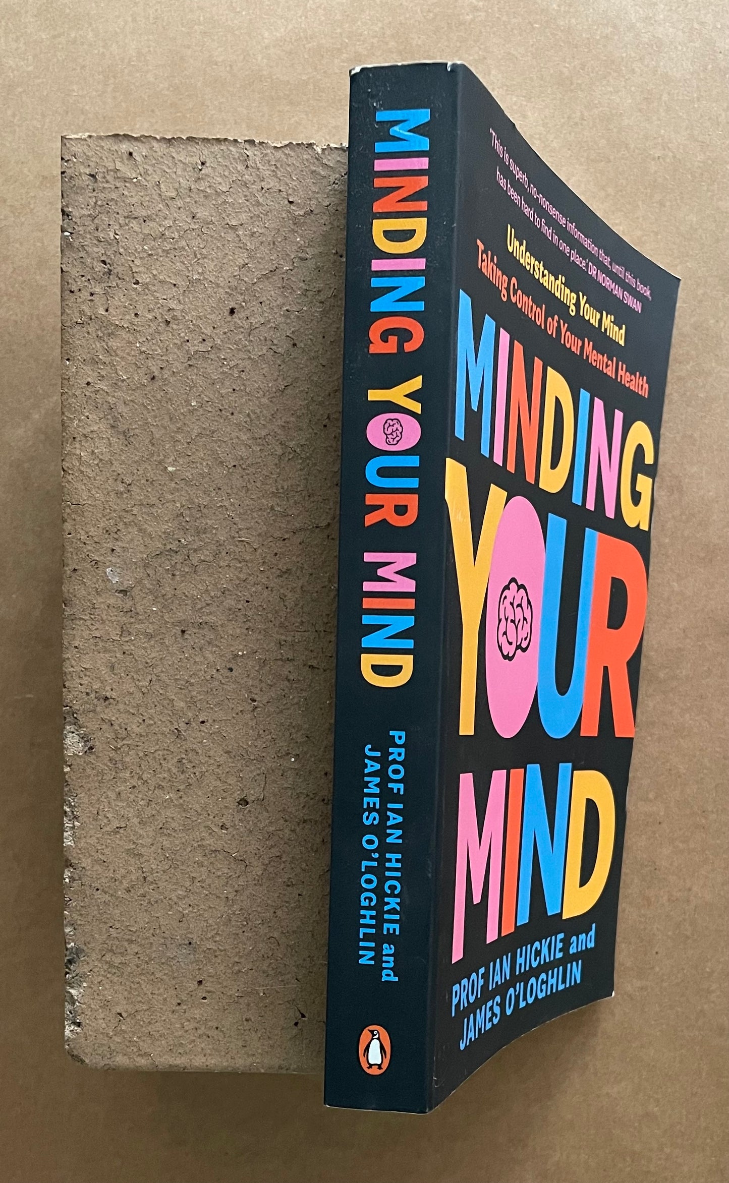 Minding Your Mind by James O'Loghlin, Ian Hickie