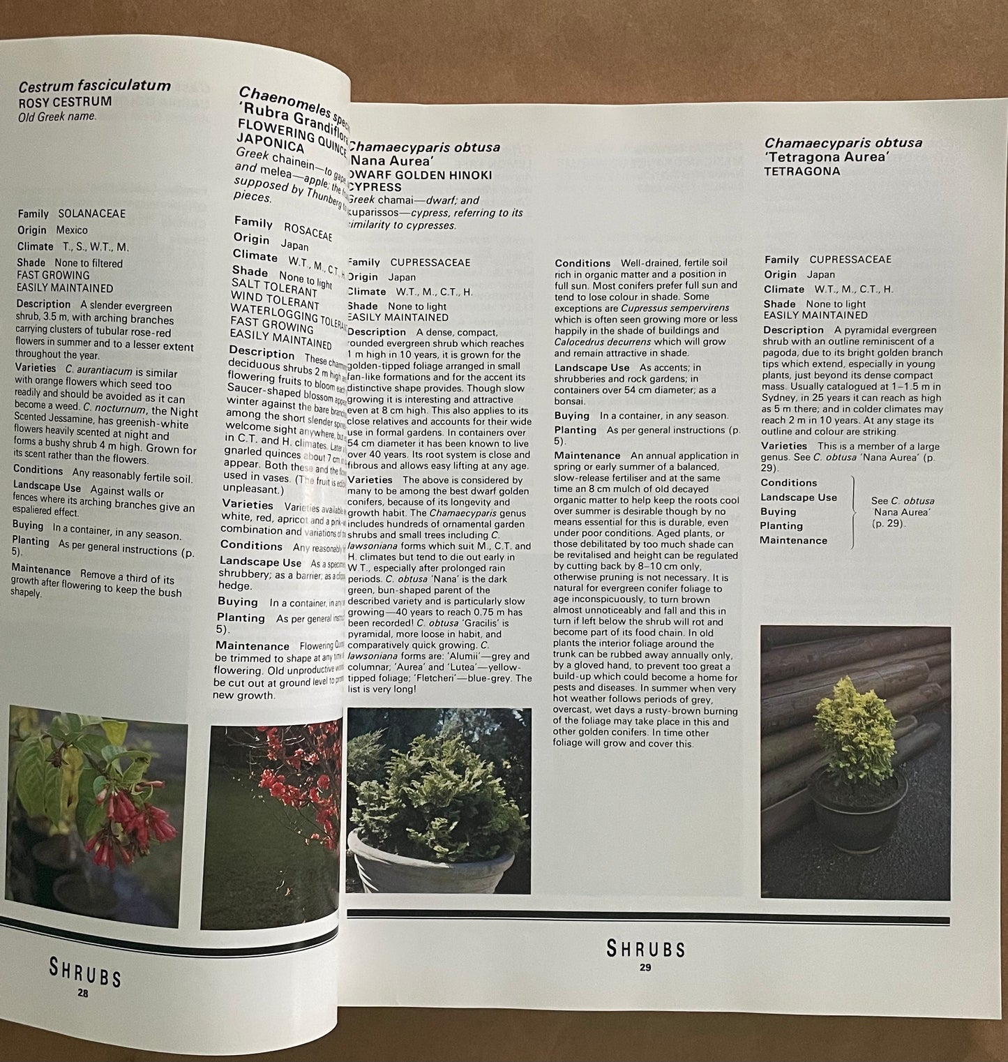 Valerie Swane's Australian Gardeners' Catalogue