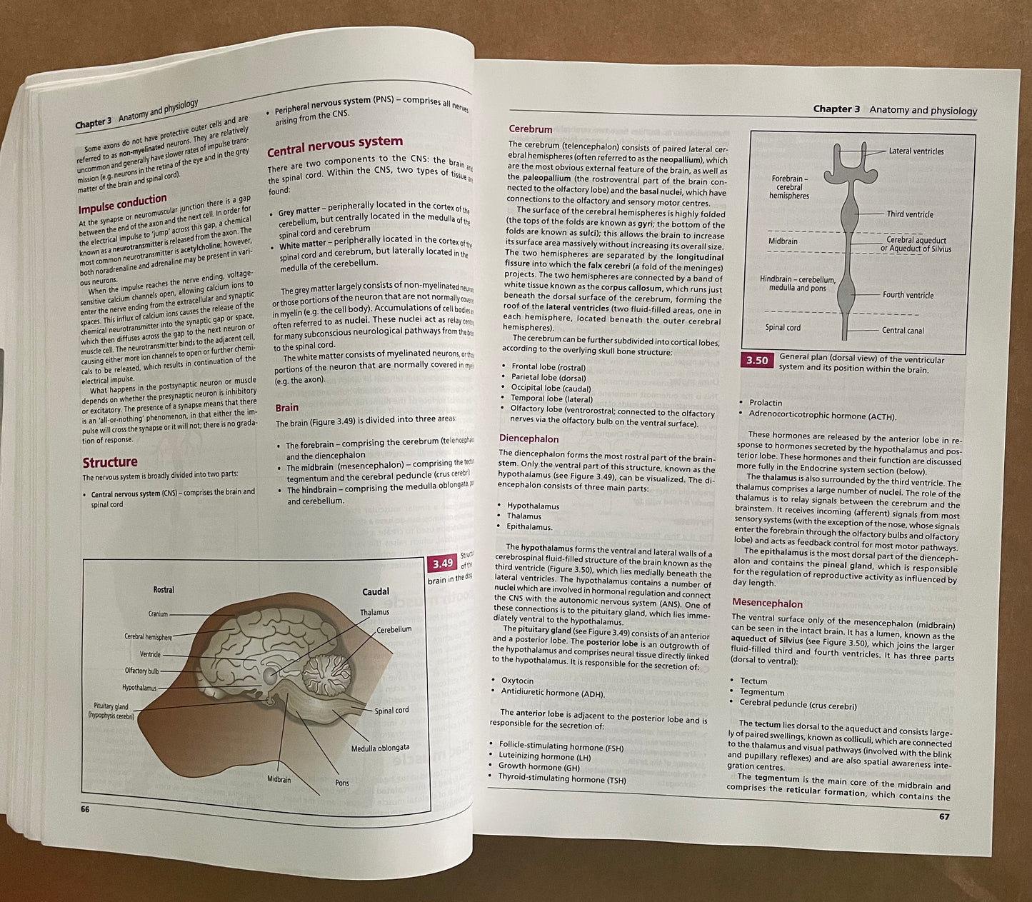BSAVA Textbook of Veterinary Nursing by Barbara Cooper et al.