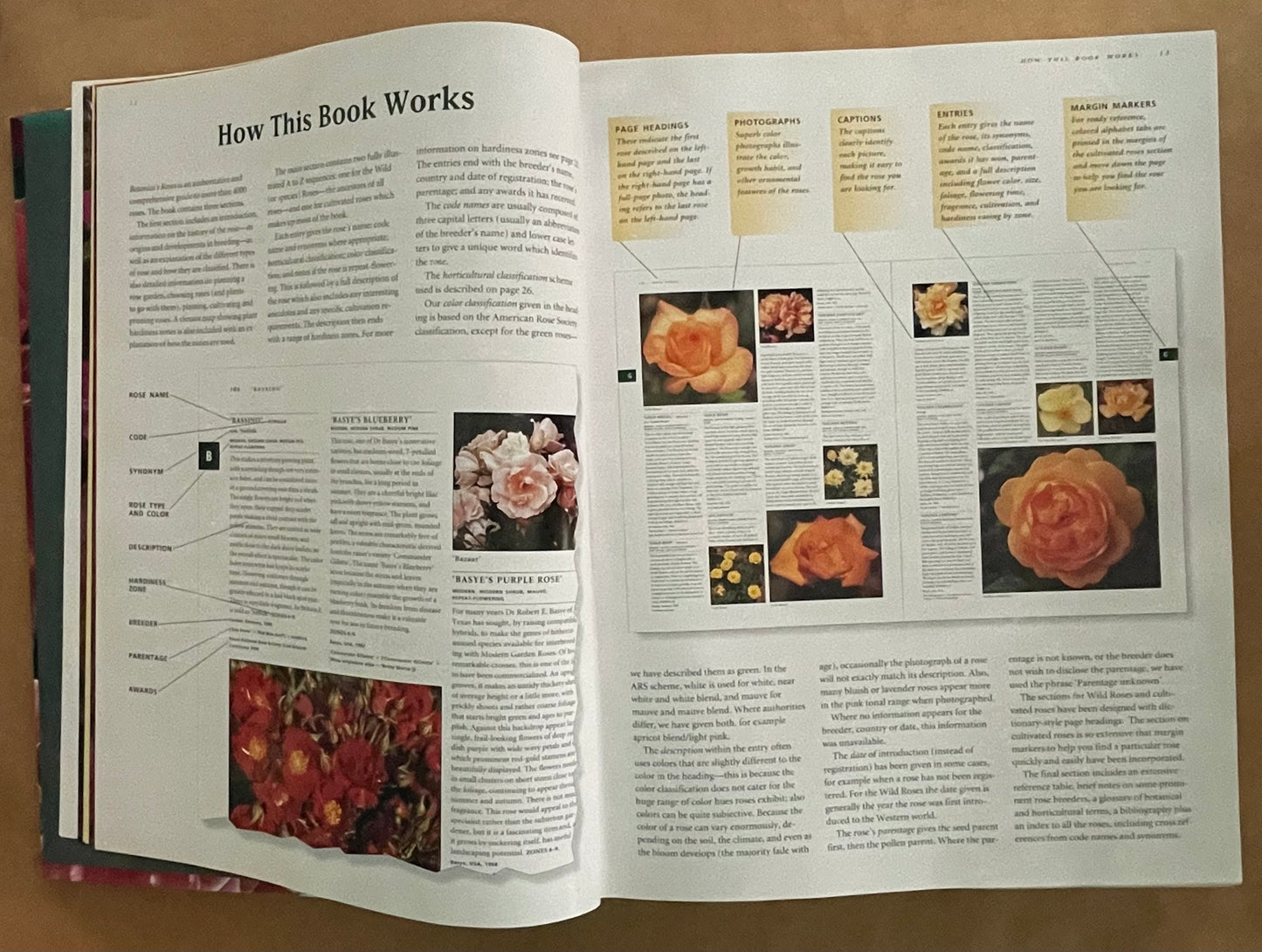 Botanica's Roses by Random House Australia
