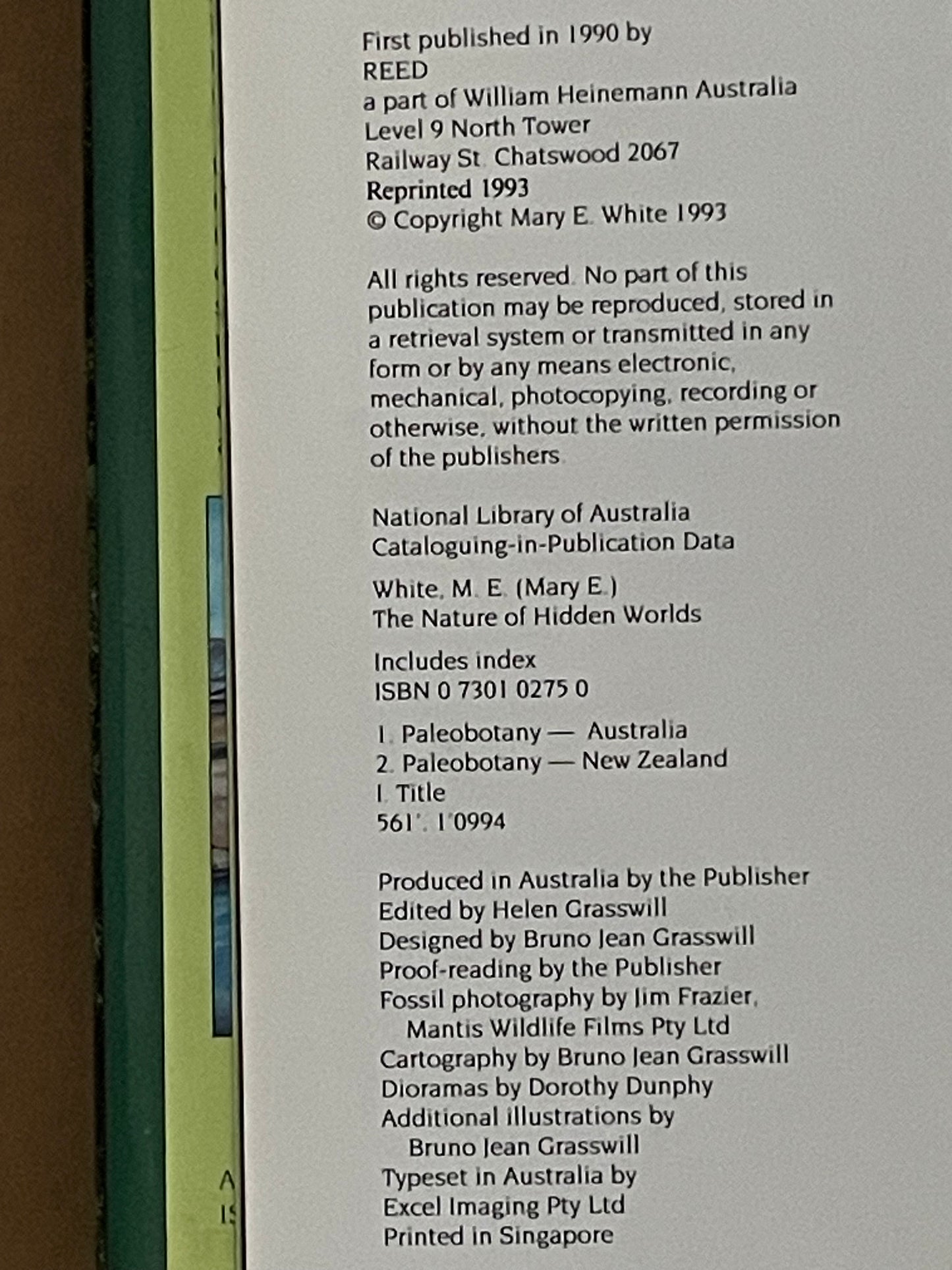 The Nature of Hidden Worlds by Mary E. White