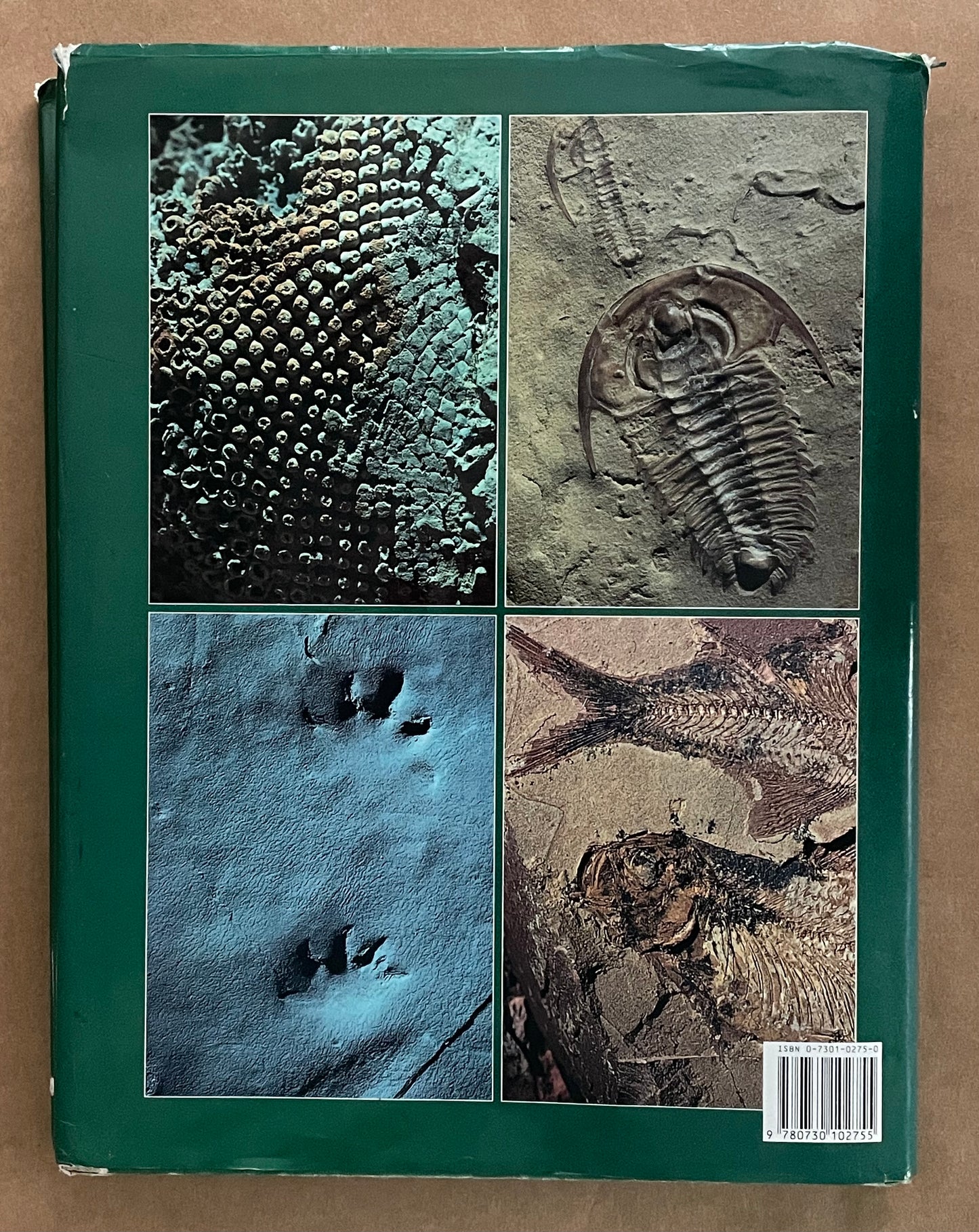 The Nature of Hidden Worlds by Mary E. White