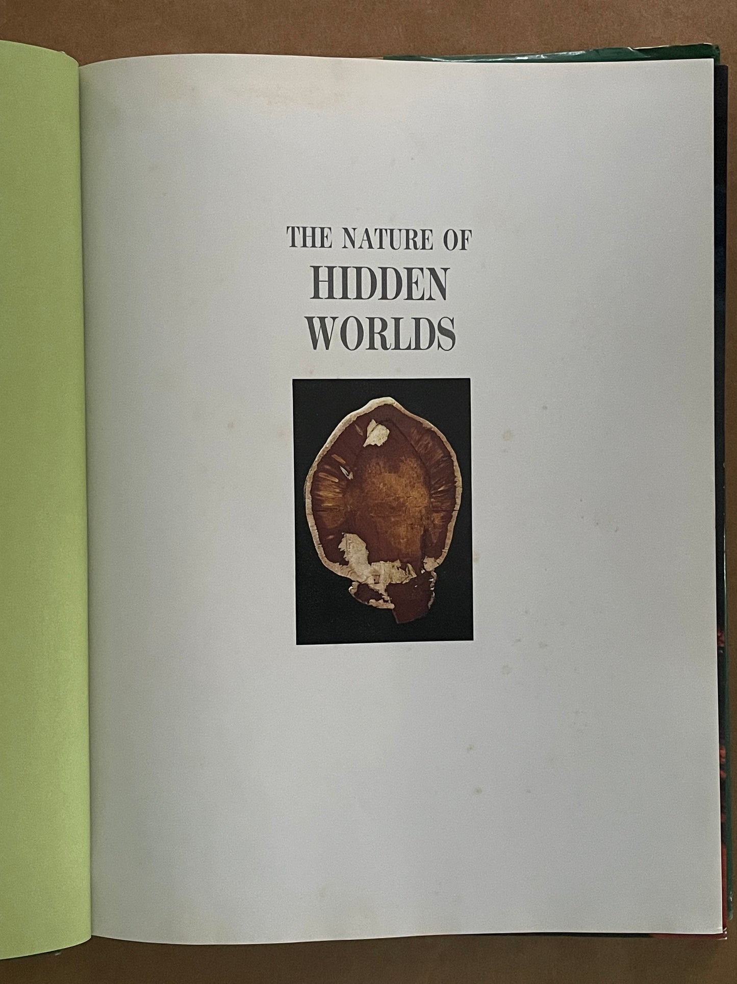 The Nature of Hidden Worlds by Mary E. White
