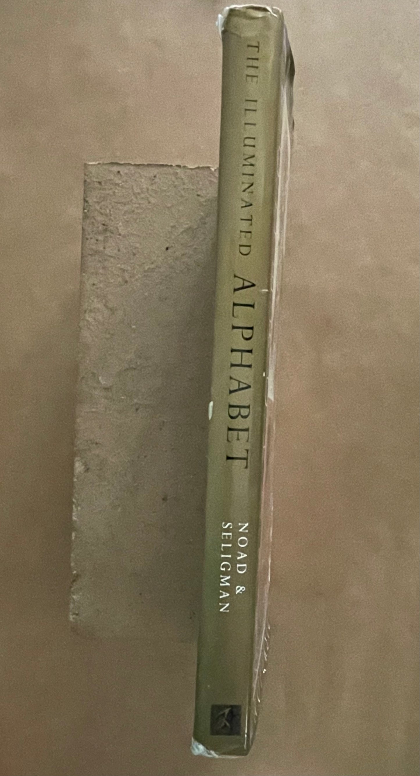 The Illuminated Alphabet by Patricia Noad, Timothy Noad, Patricia Seligman