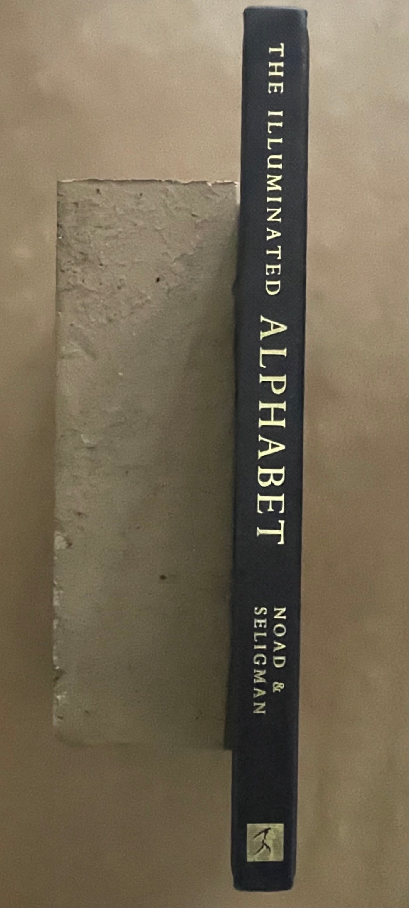 The Illuminated Alphabet by Patricia Noad, Timothy Noad, Patricia Seligman