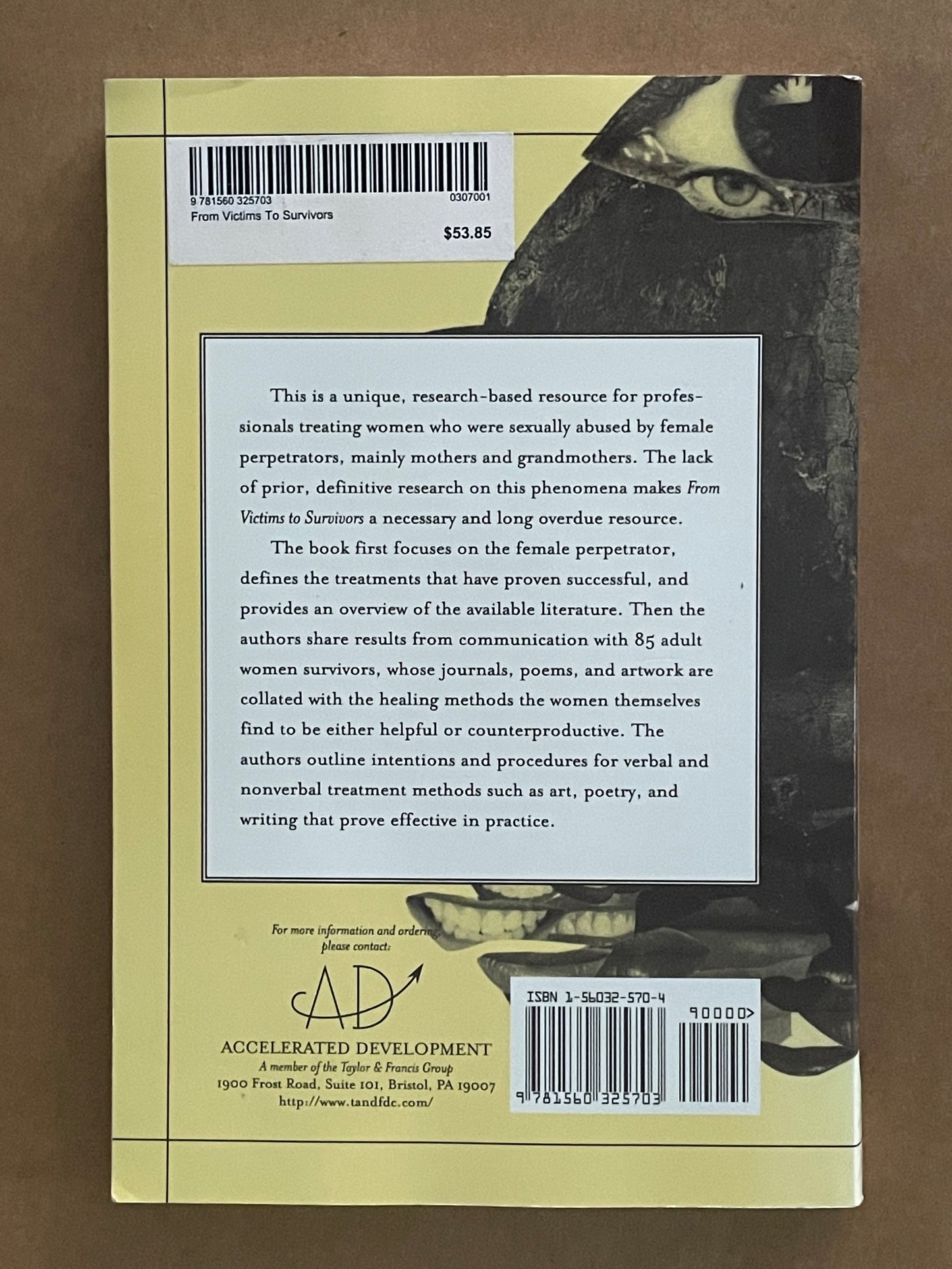 From Victims to Survivors by Juliann Whetsell- Mitchell, Jill Morse