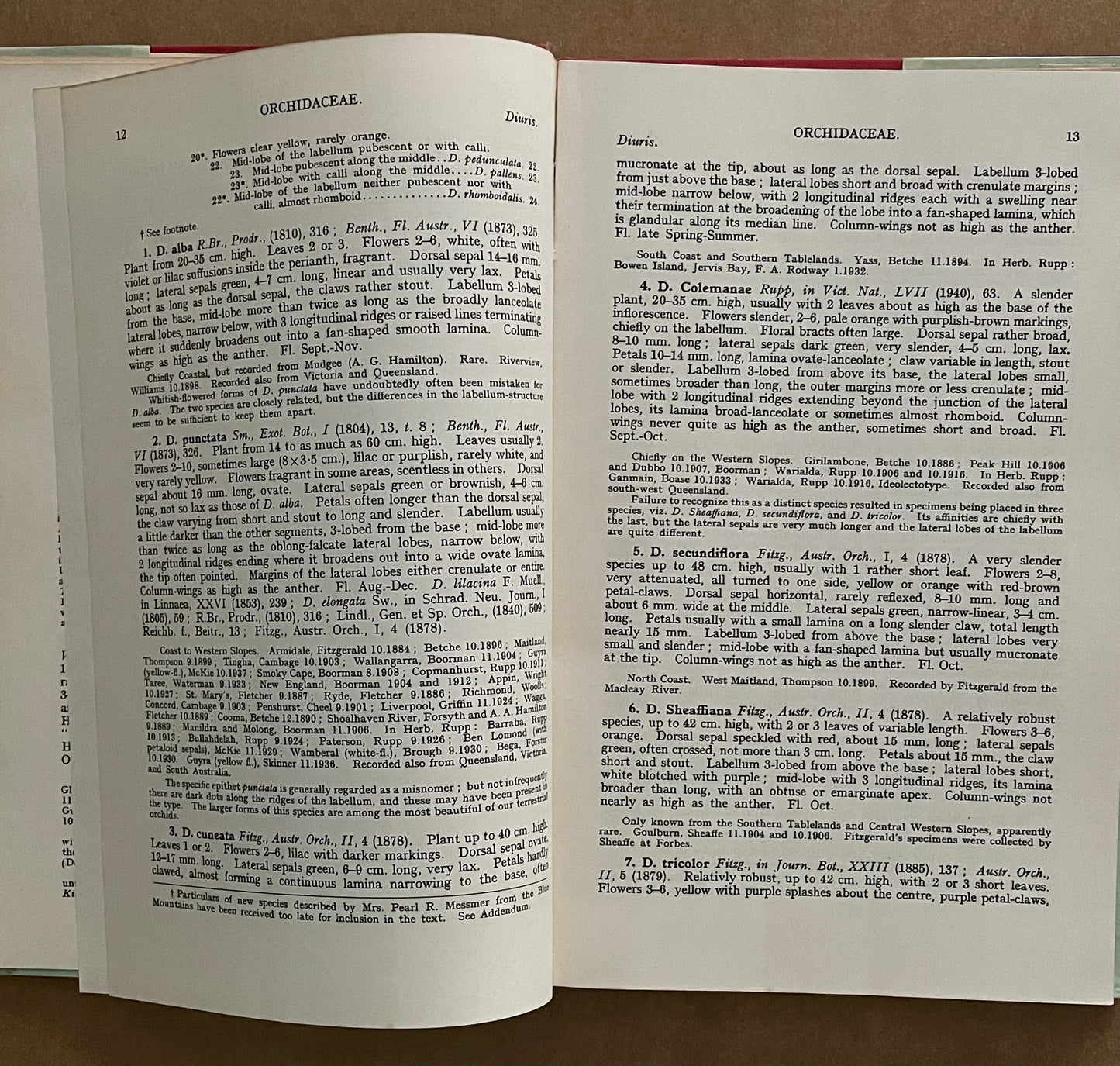 The Orchids of New South Wales by H.M.R. Rupp and D. J. McGillivray