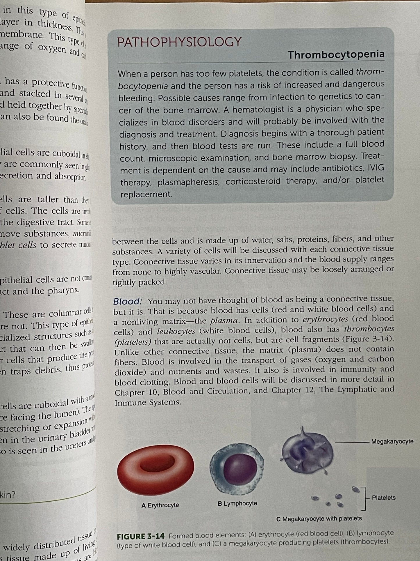 Anatomy, Physiology, and Disease for the Health Professions