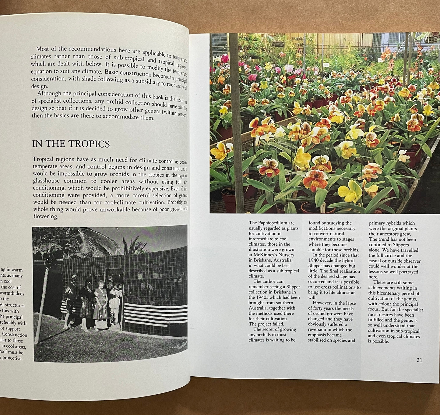 Growing Orchids - the Specialist Orchid Grower by Jim Rentoul
