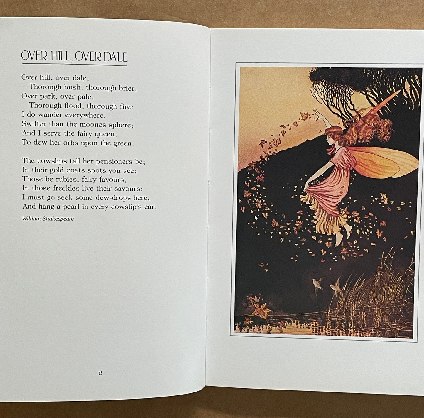 The Little World of Elves & Fairies by Ida Rentoul Outhwaite