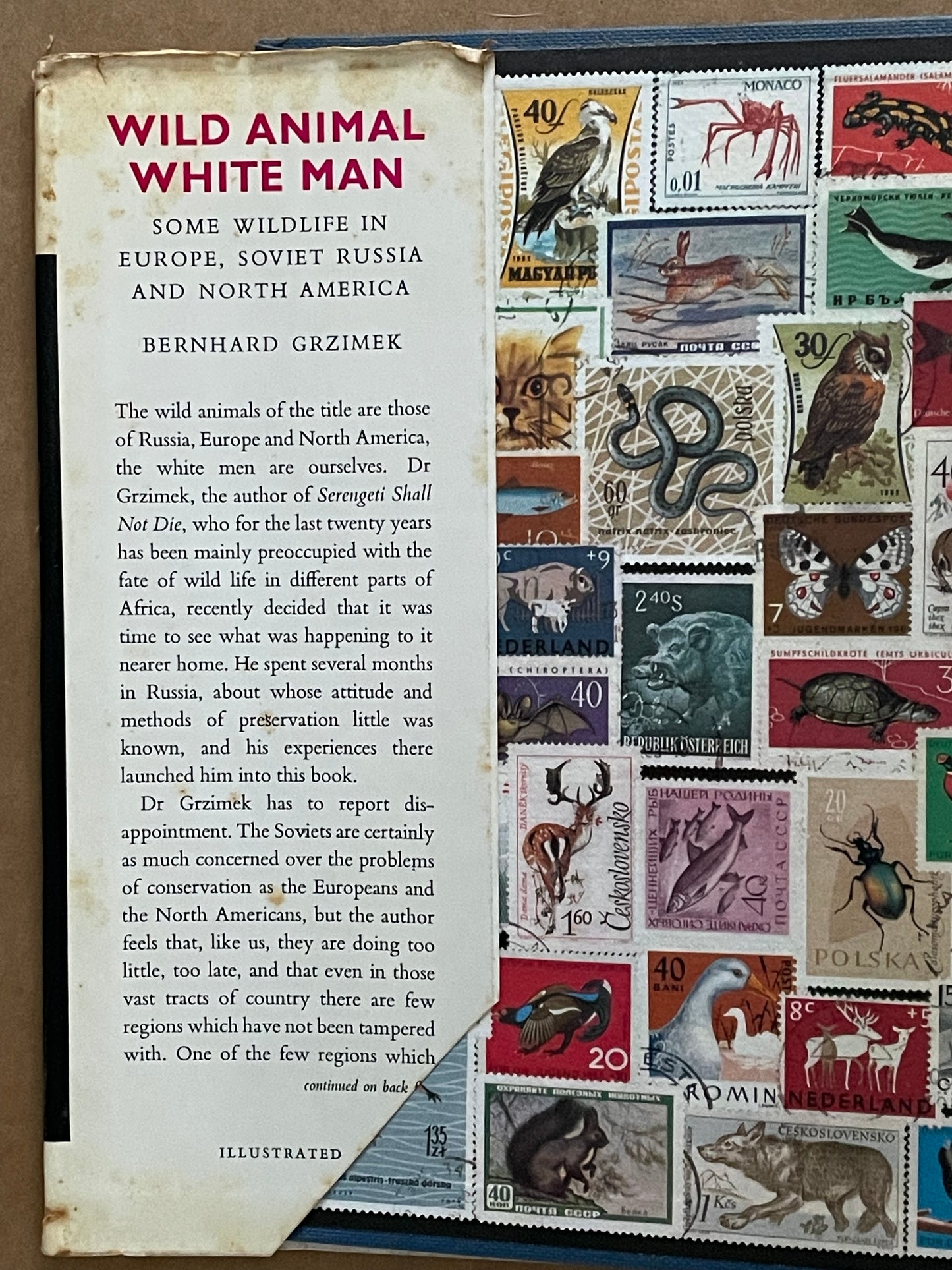 Wild Animal, White Man by Bernhard Grzimek