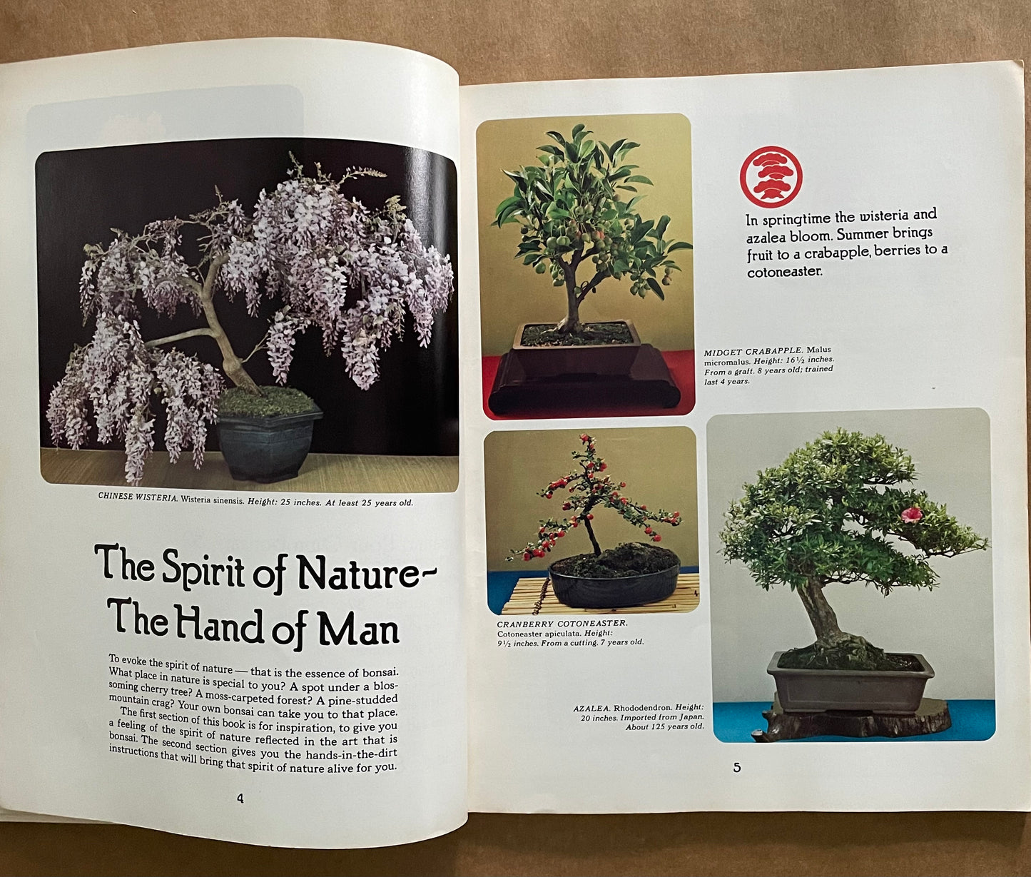 Bonsai: Illustrated Guide to an Ancient Art by Sunset Books