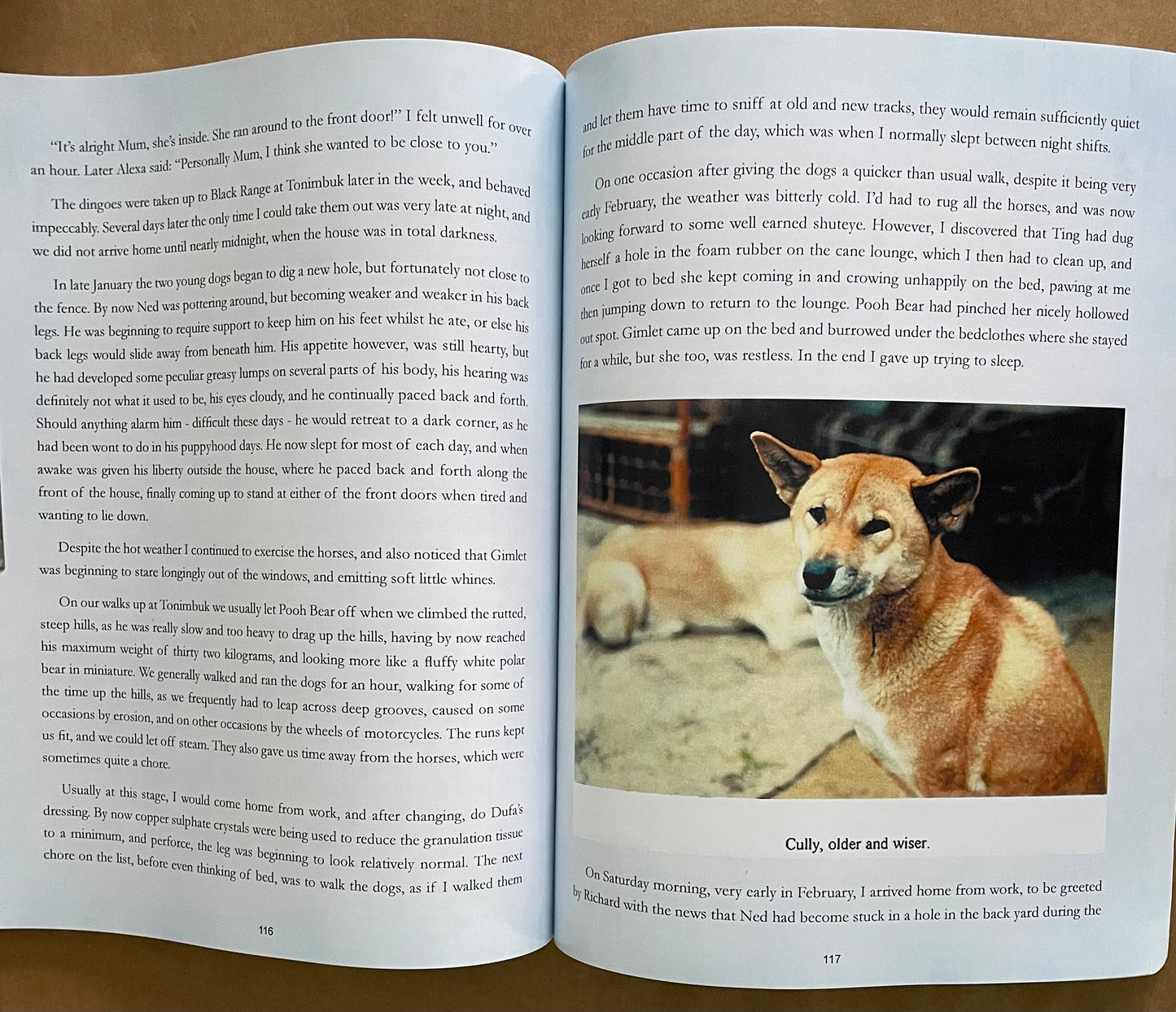 Living with Dingoes by Gill Ryhorchuk