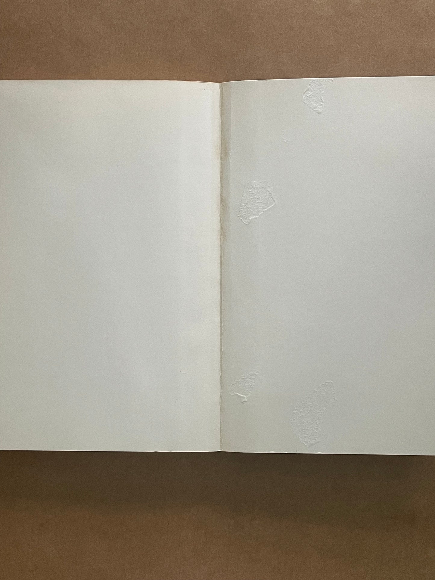 Nutrition & Food Preparation by N.E. Norris, P.M. Abbey & G.M. Macdonald