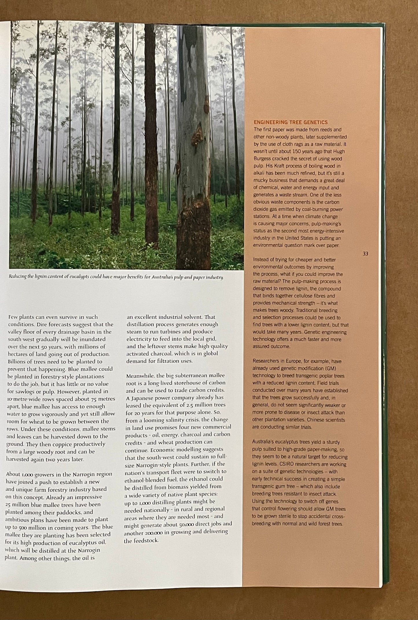In the Living Forest