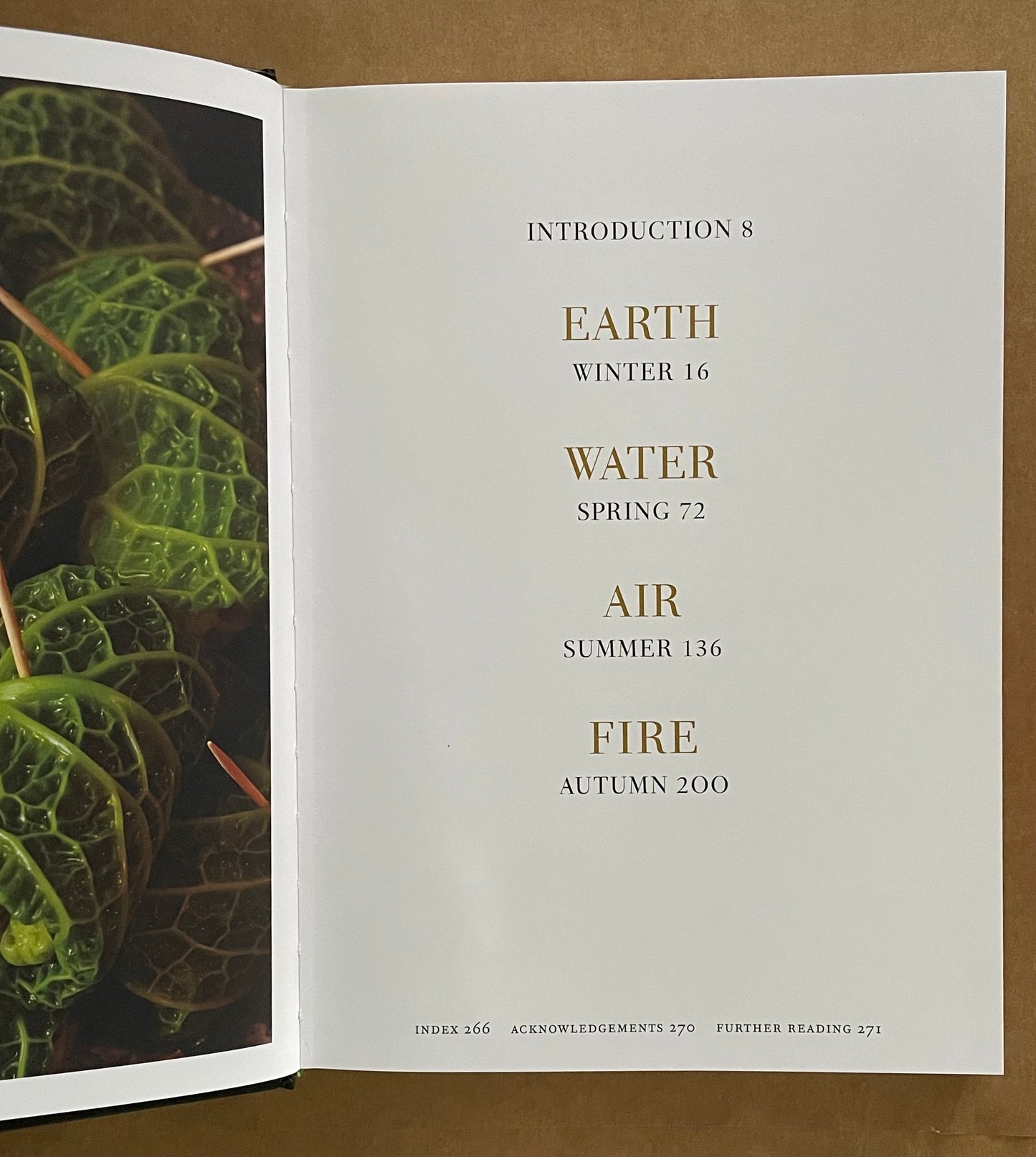 FERN VERROW by Jane Scotter and Harry Astley