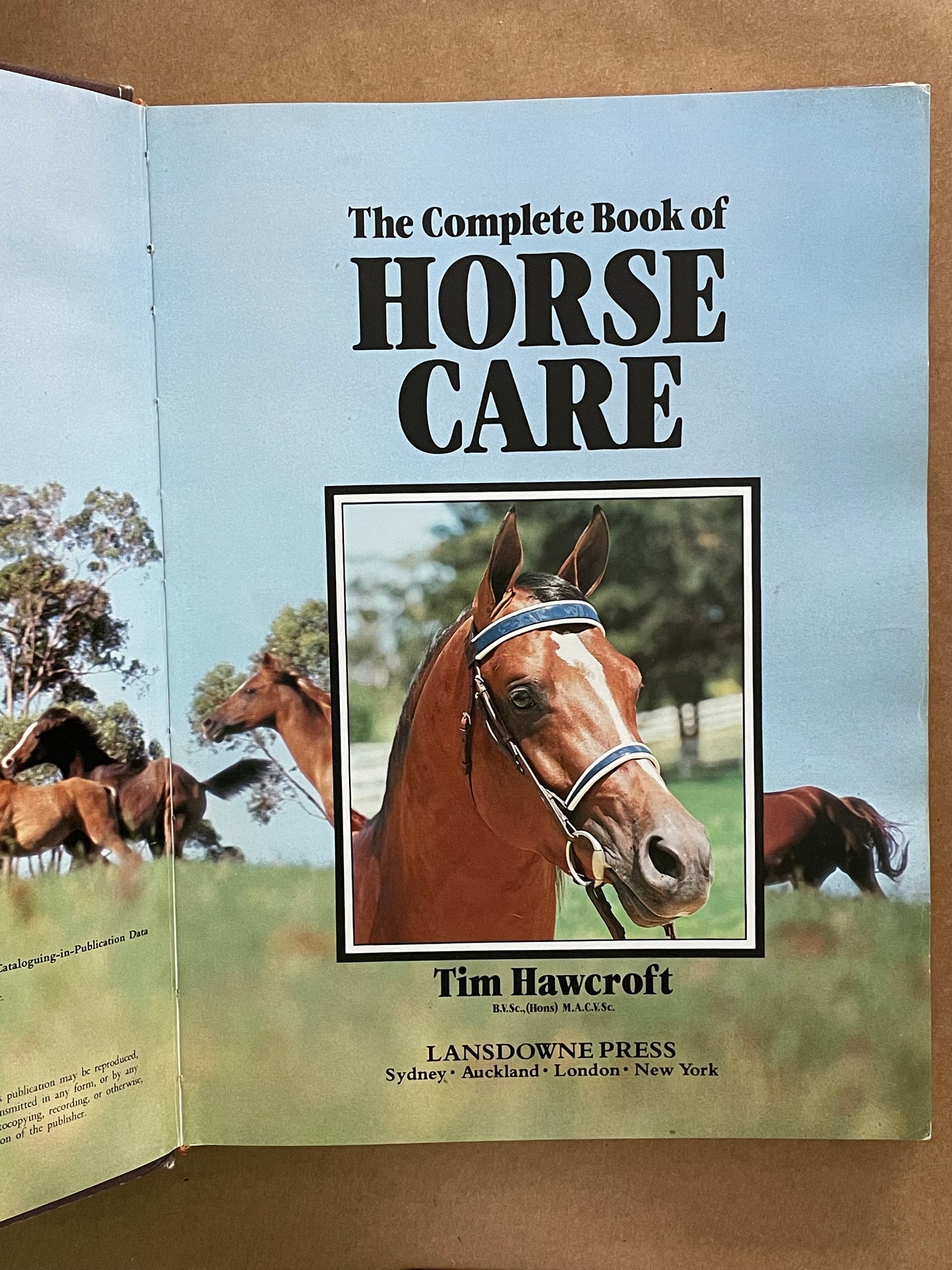 The Complete Book of Horse Care by Tim Hawcroft