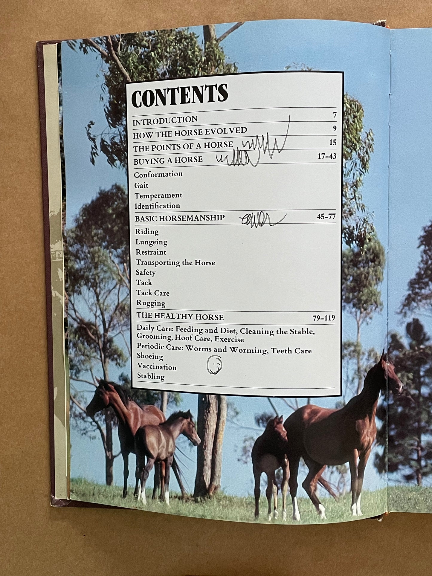 The Complete Book of Horse Care by Tim Hawcroft
