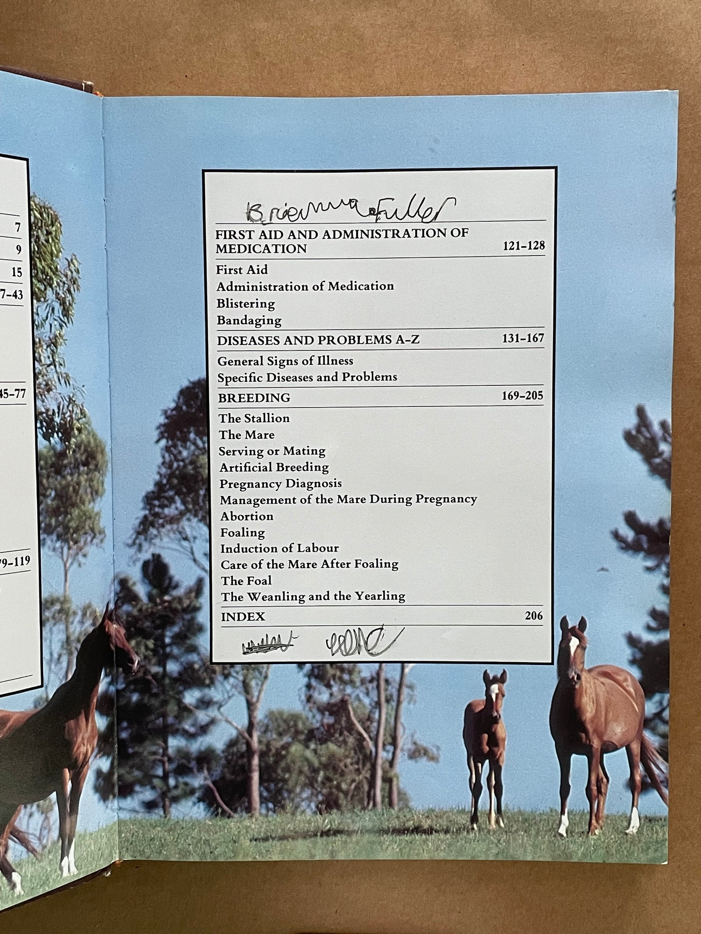 The Complete Book of Horse Care by Tim Hawcroft