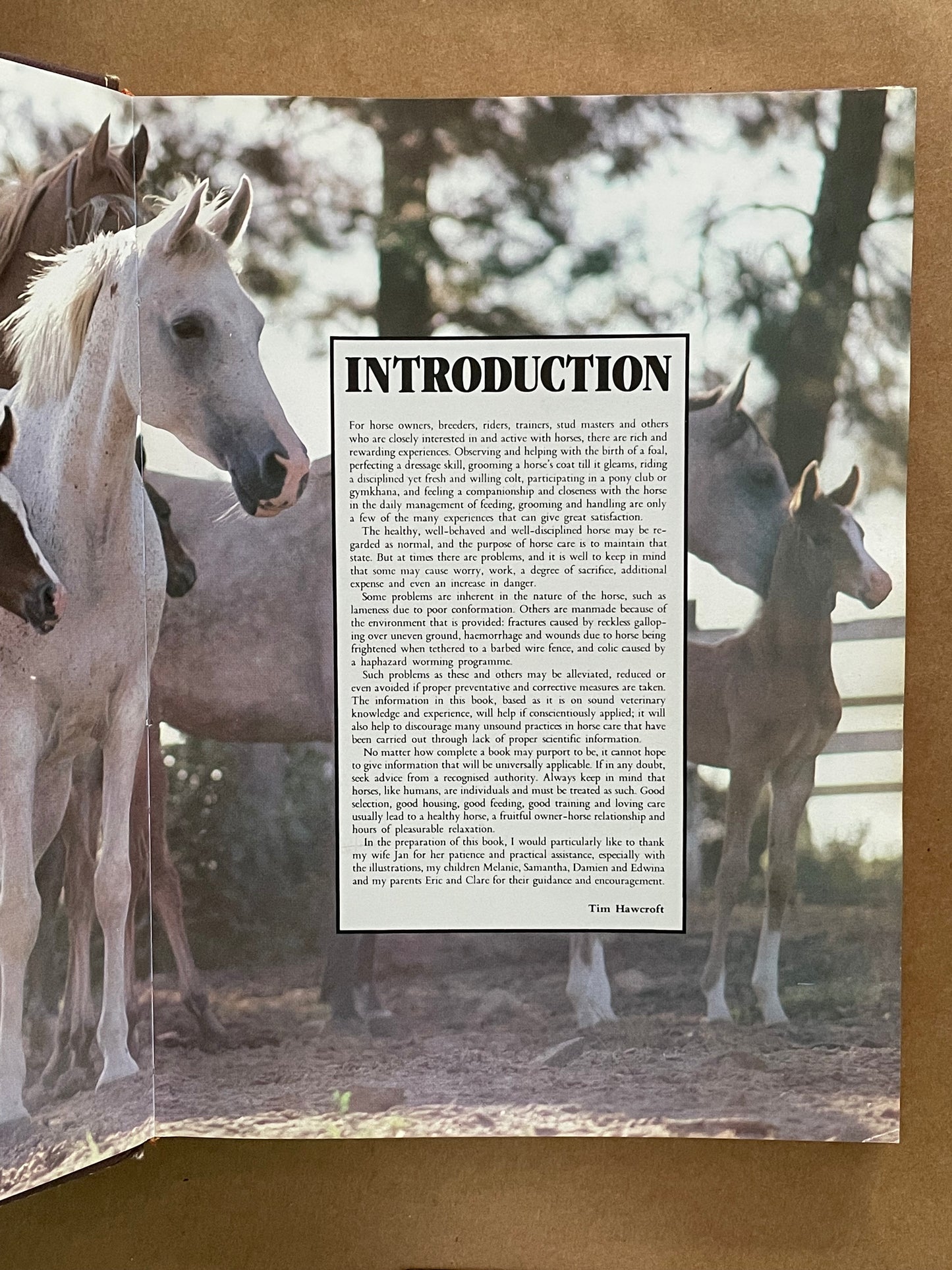 The Complete Book of Horse Care by Tim Hawcroft
