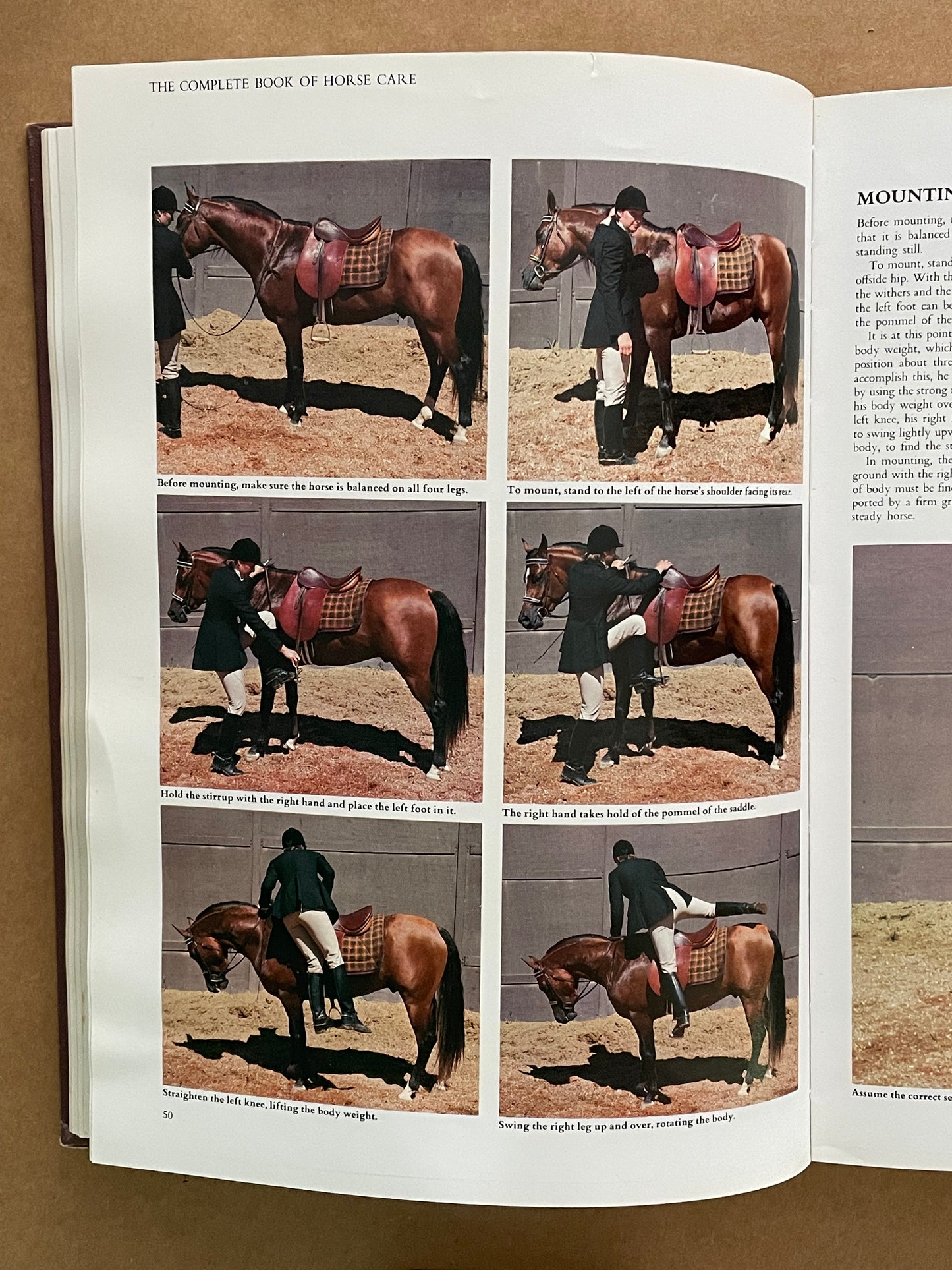 The Complete Book of Horse Care by Tim Hawcroft
