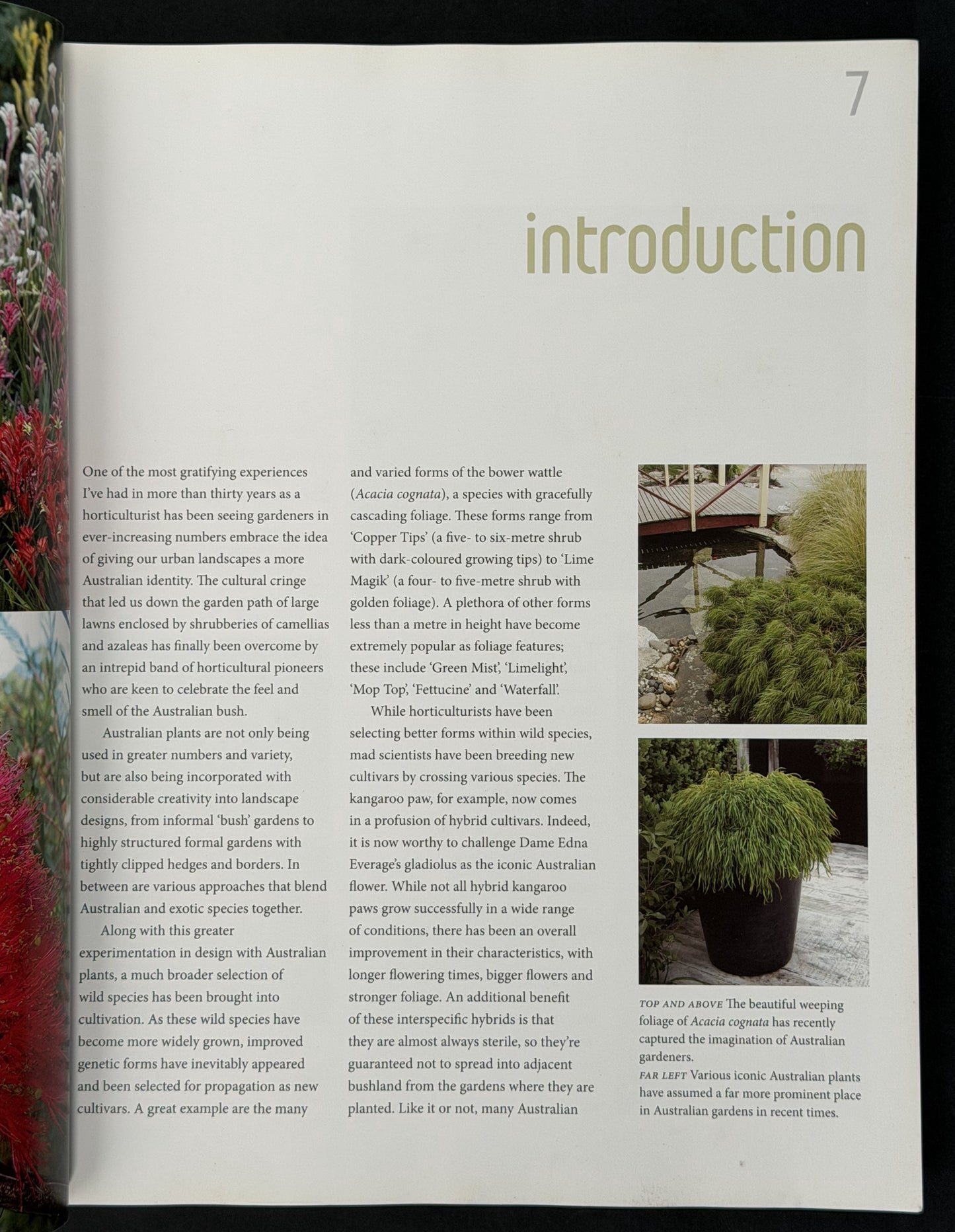 Creating an Australian Garden by Angus Stewart
