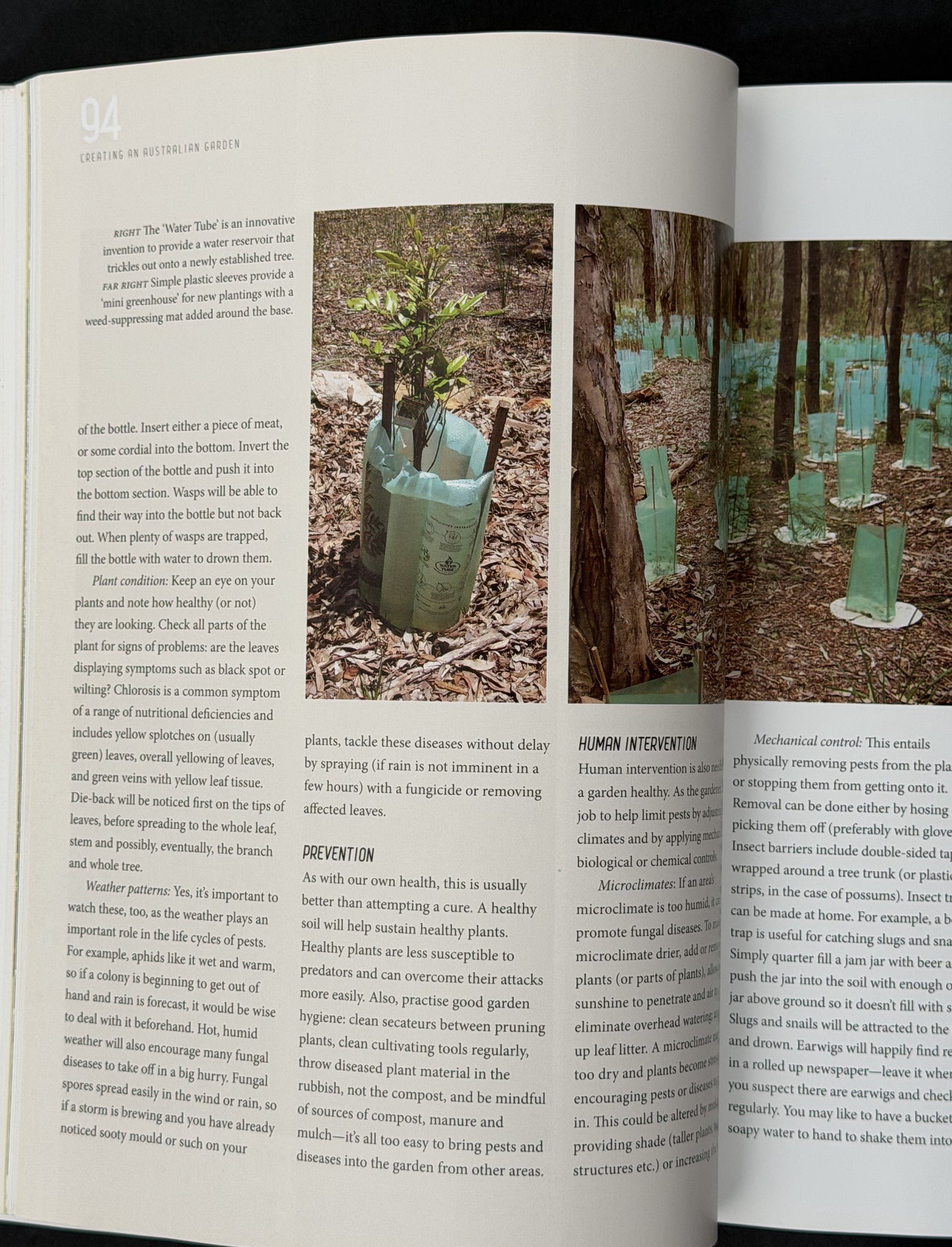 Creating an Australian Garden by Angus Stewart
