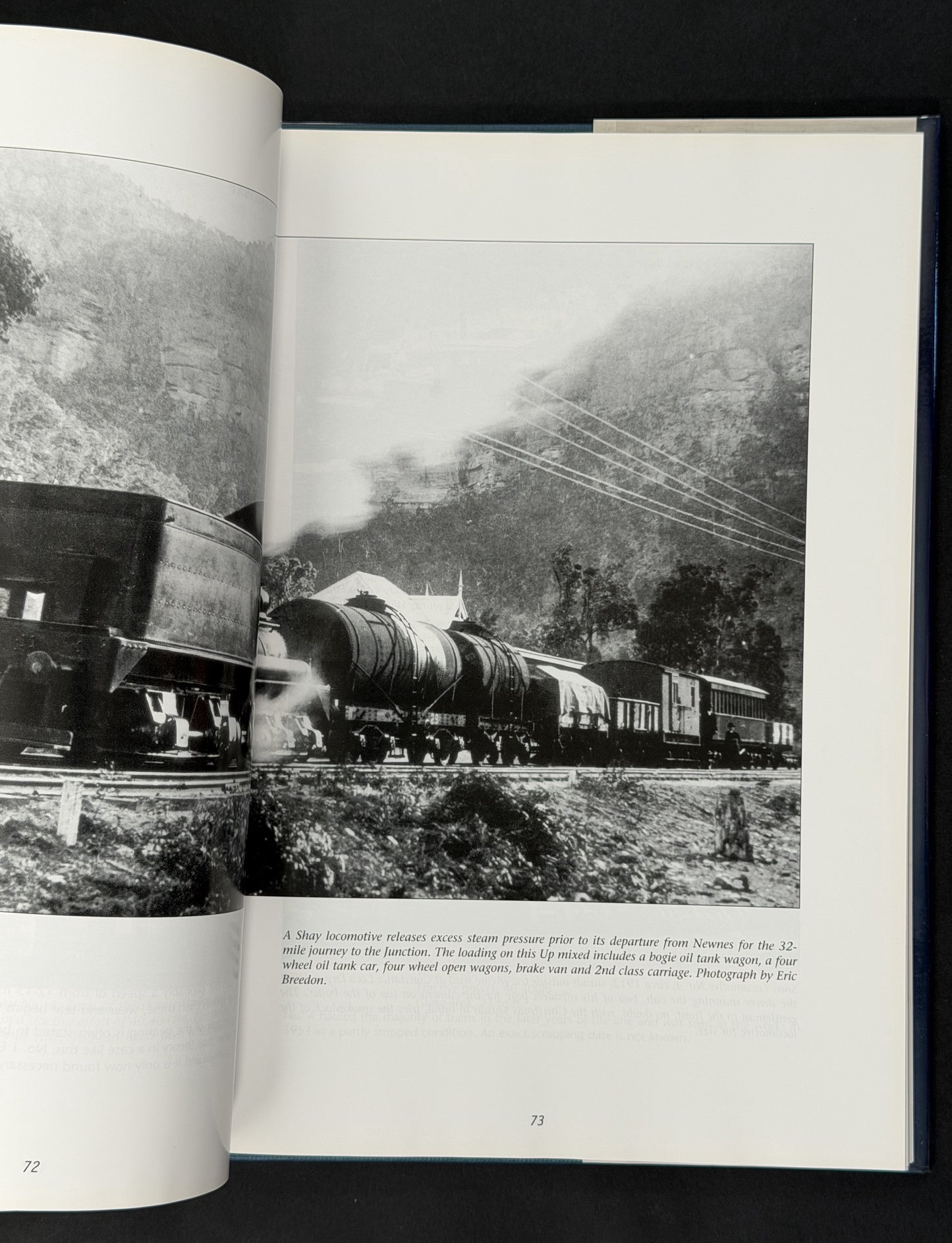 Shays in the Valley by George Hicks et al.