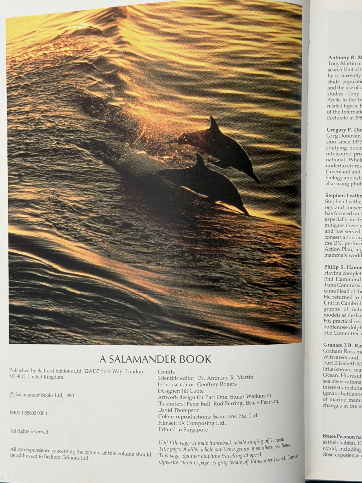 My Nature Craft Book by Cheryl Owen
