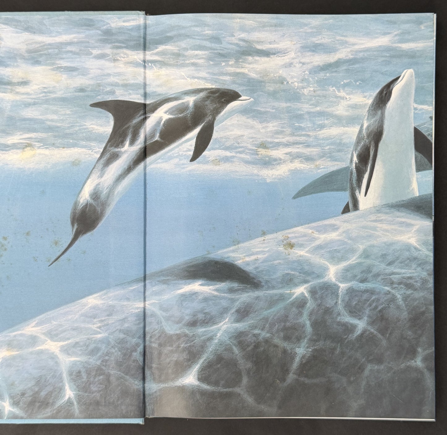 My Nature Craft Book by Cheryl Owen