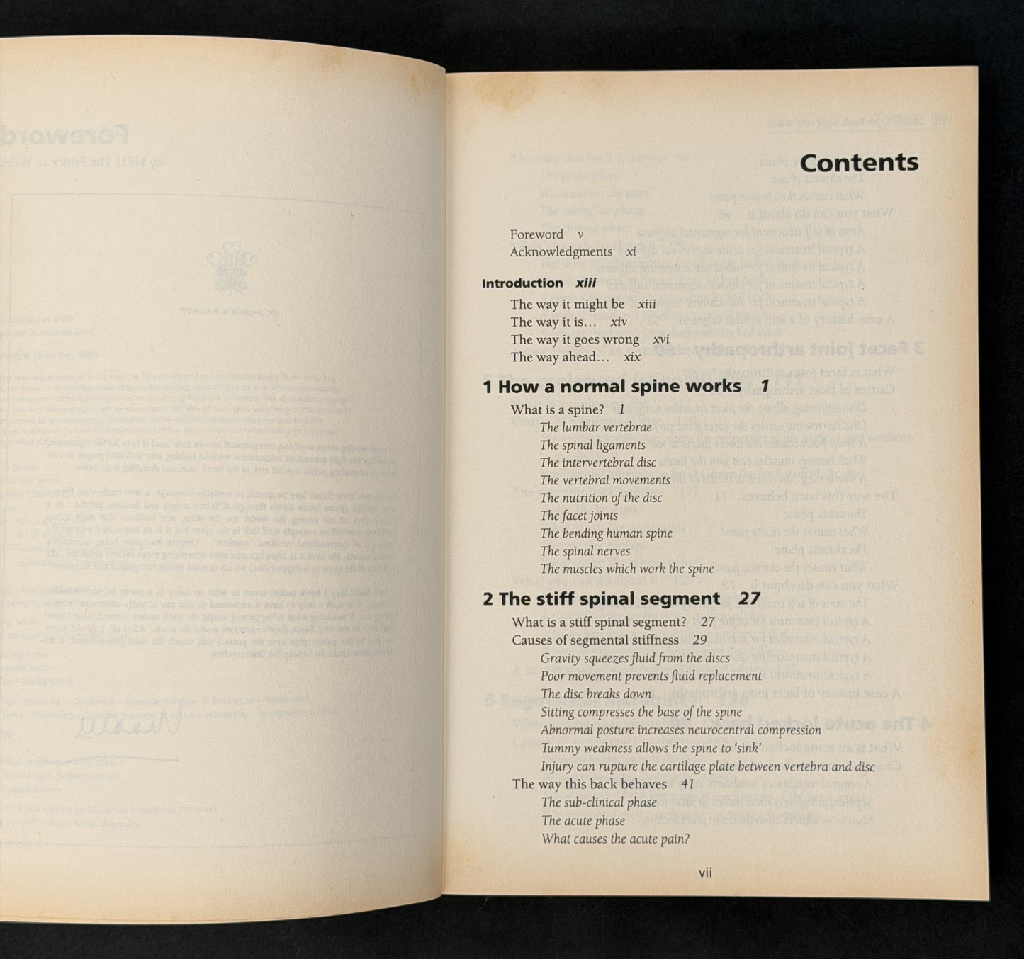 Back Sufferer's Bible by Sarah Key