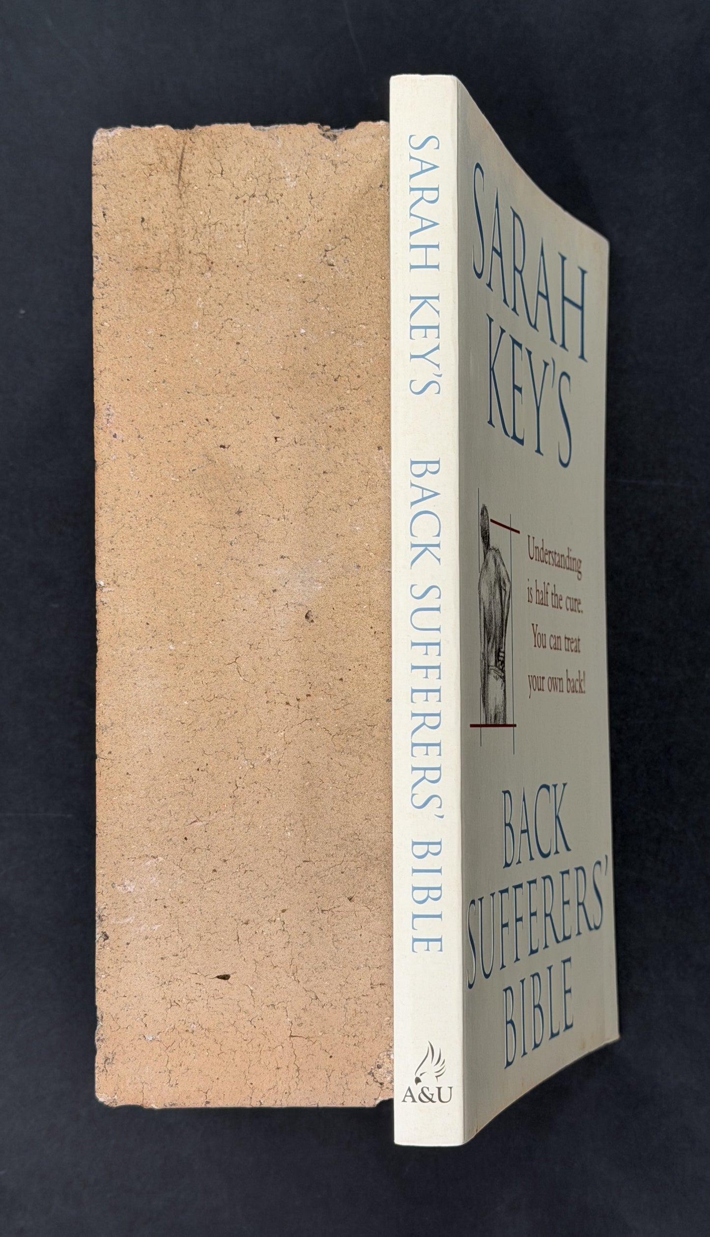 Back Sufferer's Bible by Sarah Key