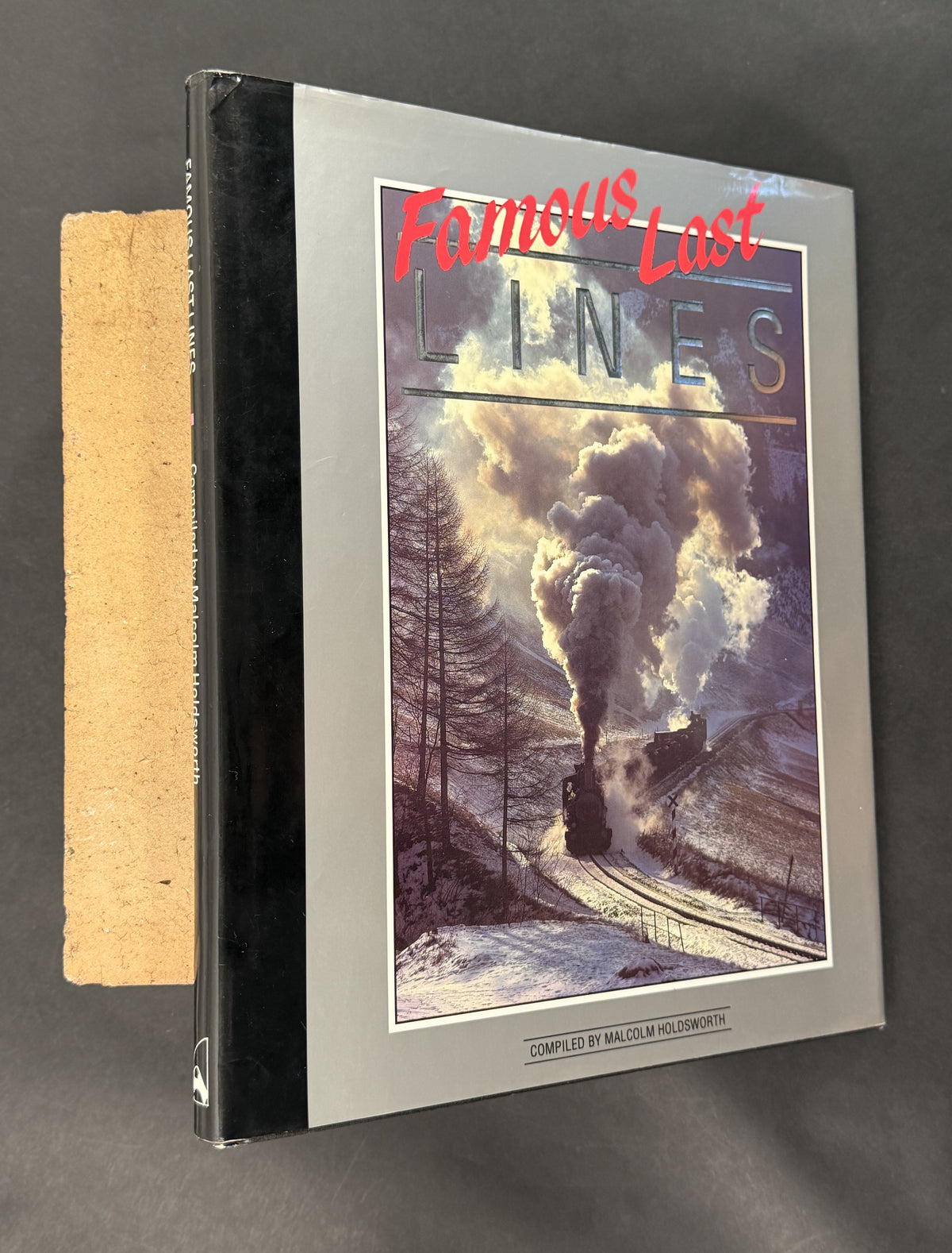 Famous Last Lines by Malcolm Holdsworth