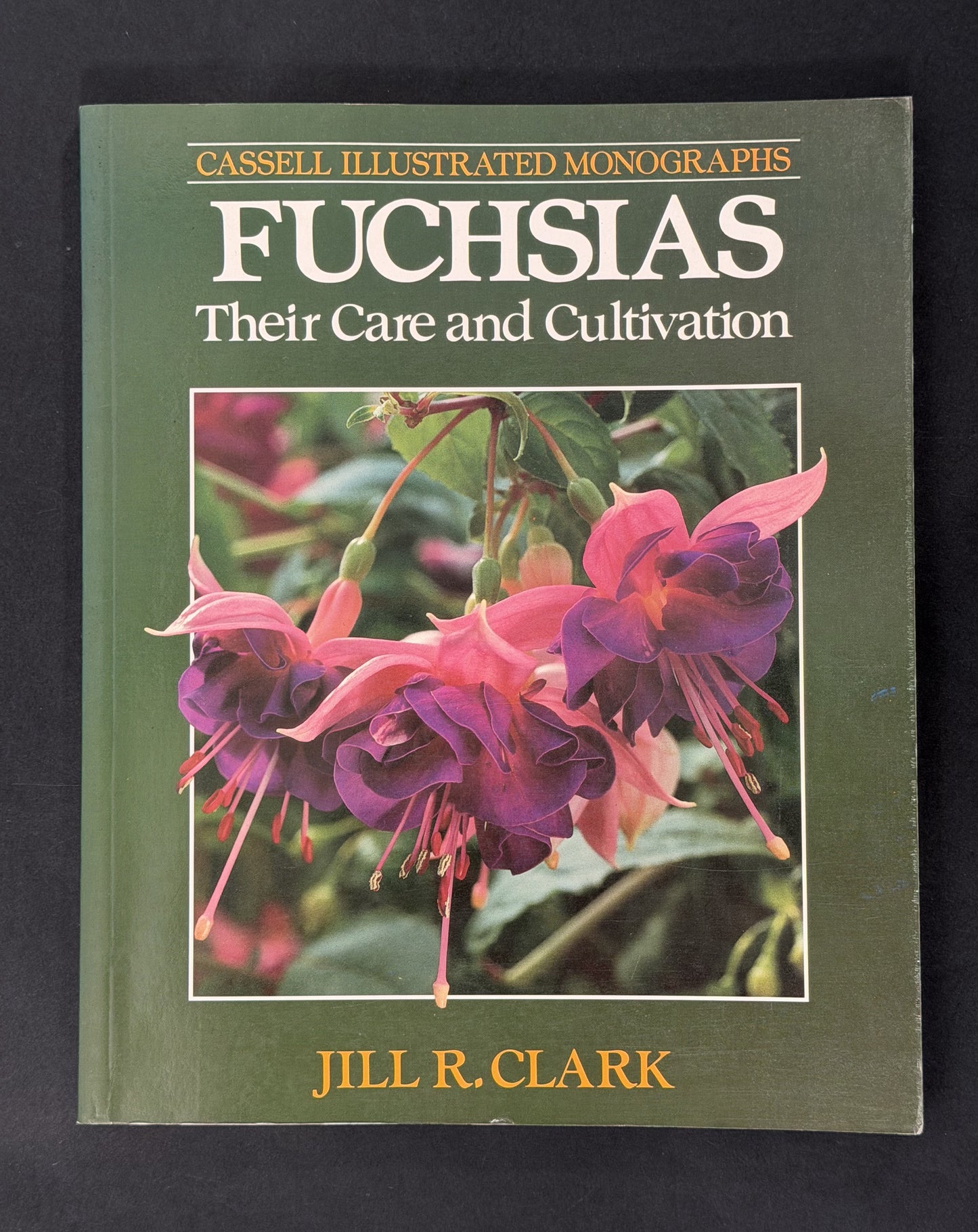 Fuchsias by Jill R. Clark