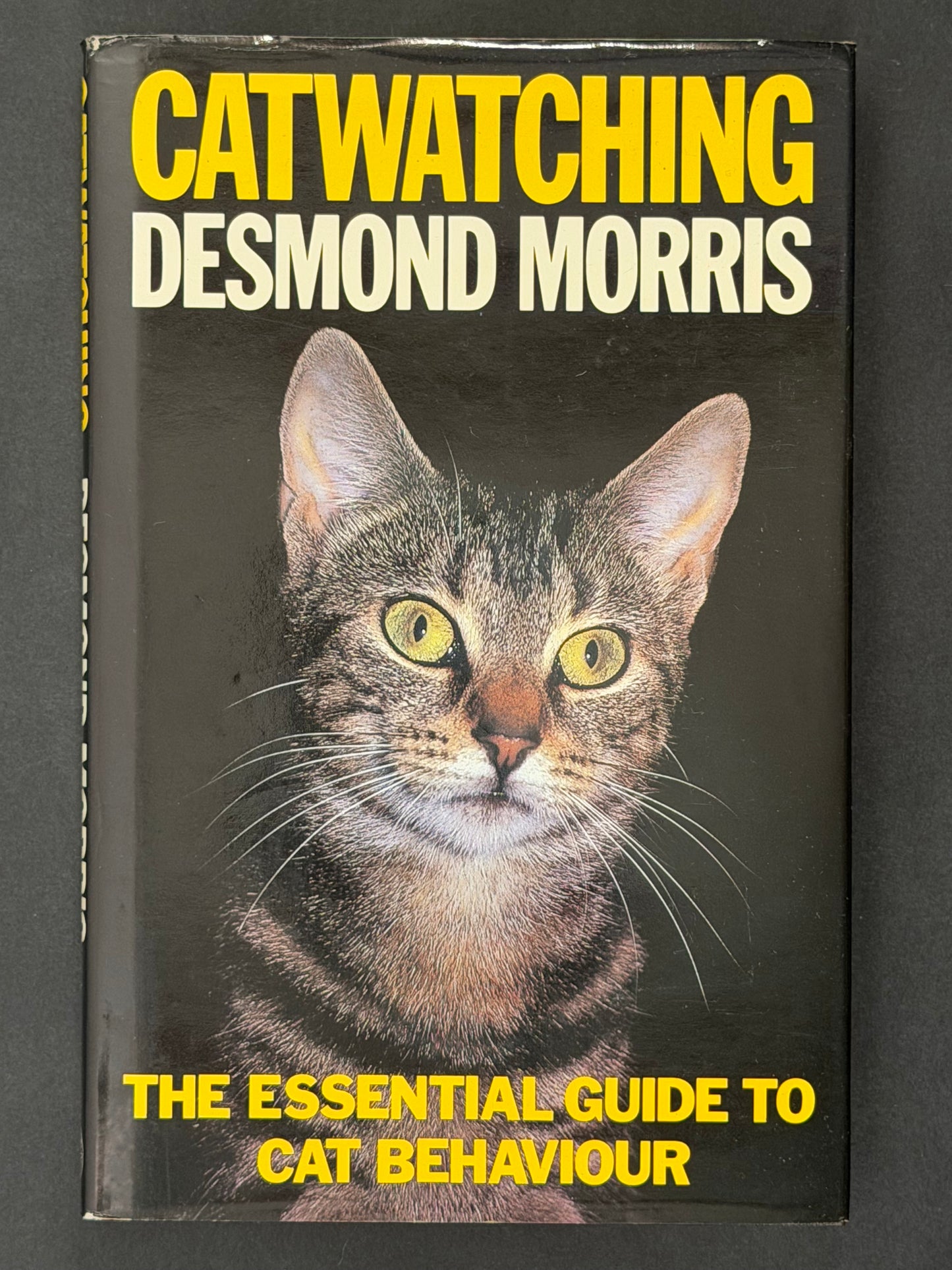 Catwatching by Desmond Morris