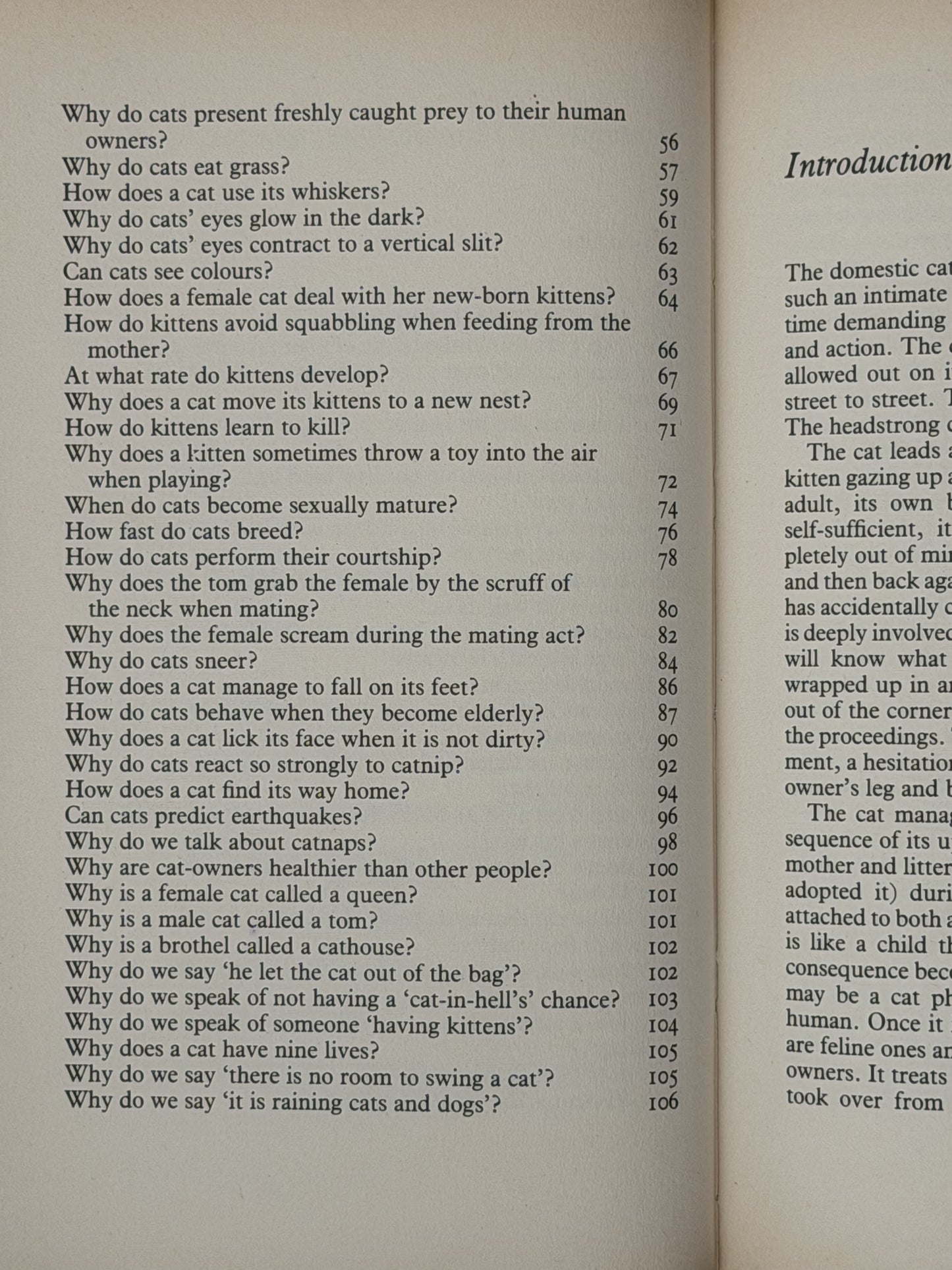 Catwatching by Desmond Morris