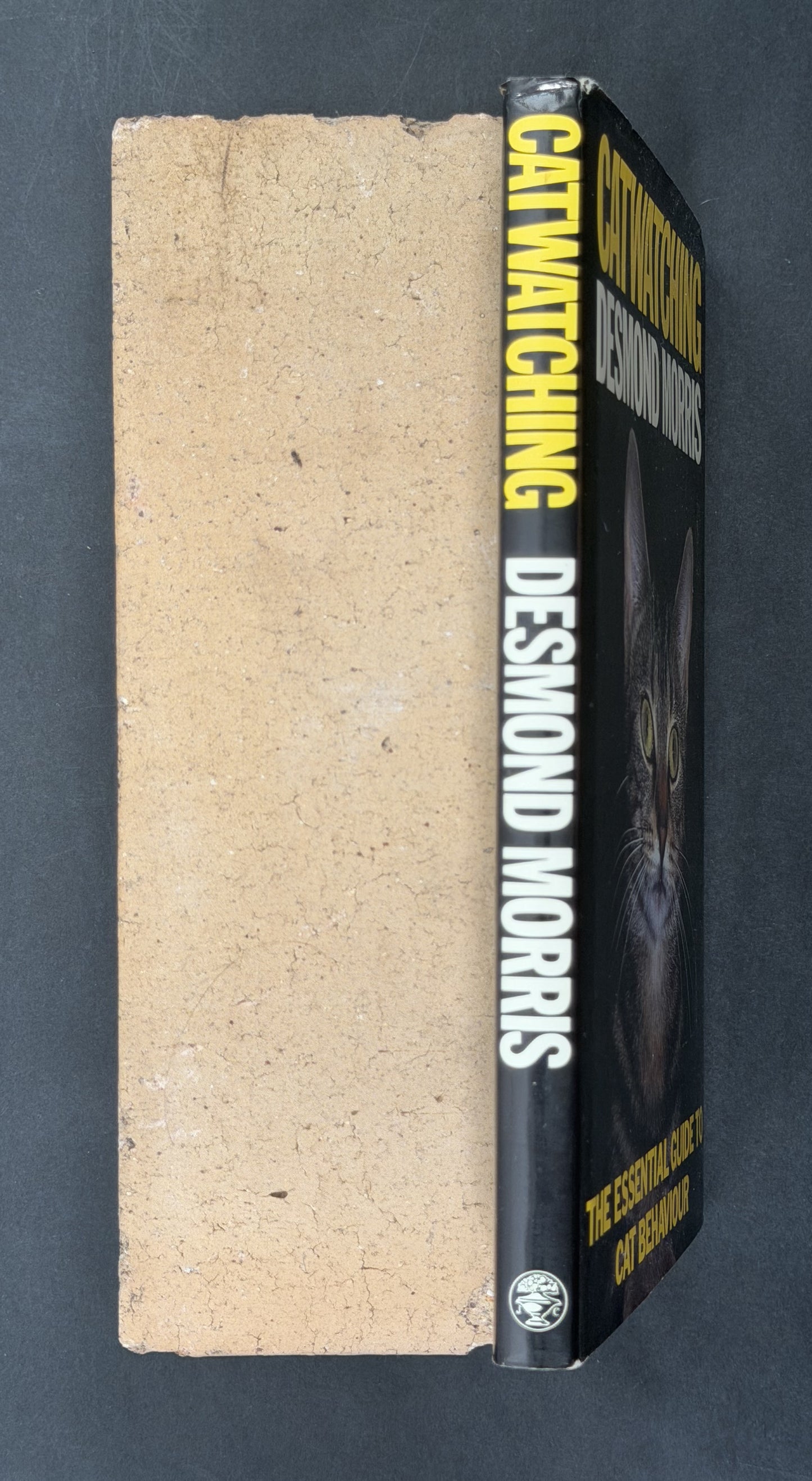 Catwatching by Desmond Morris