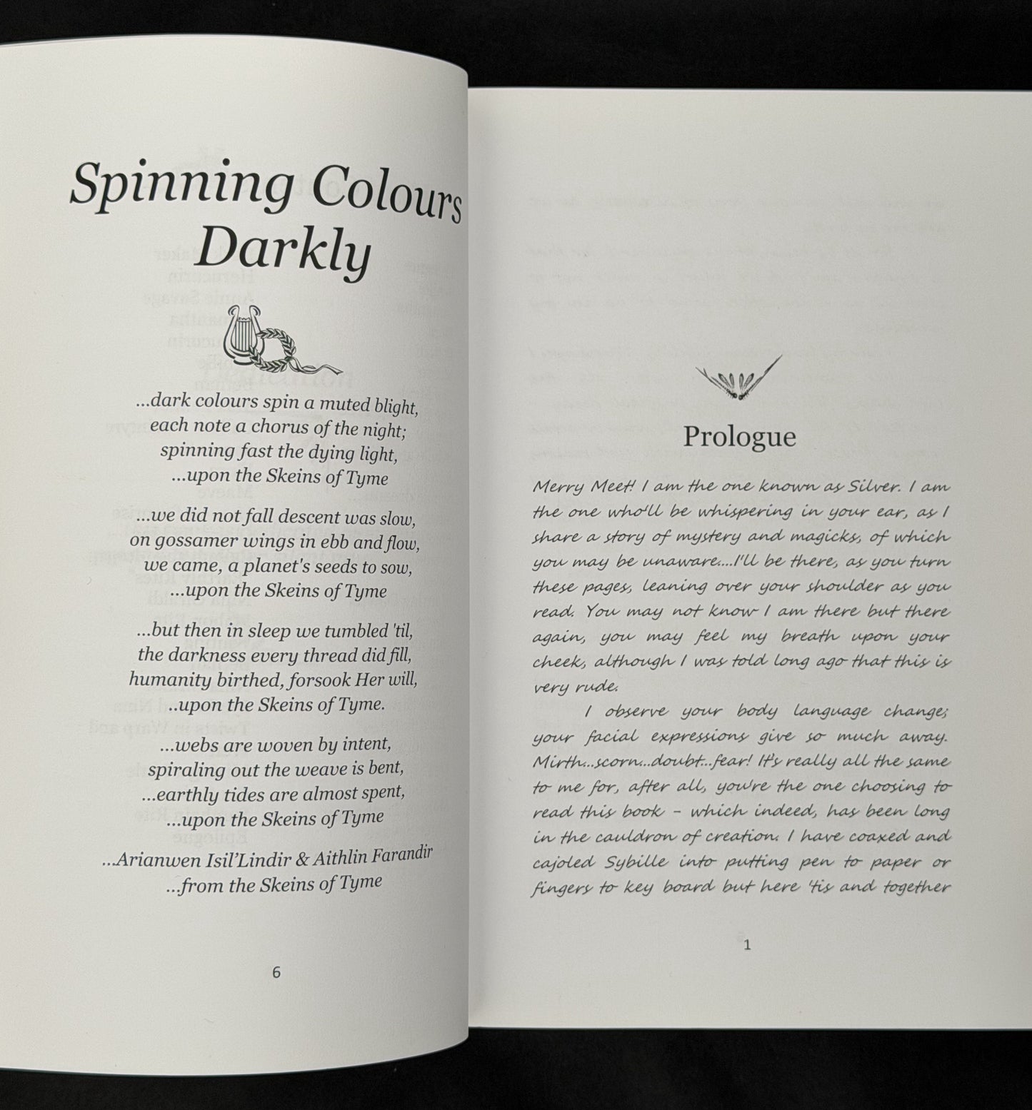 Spinning Colours Darkly by Penny Reilly