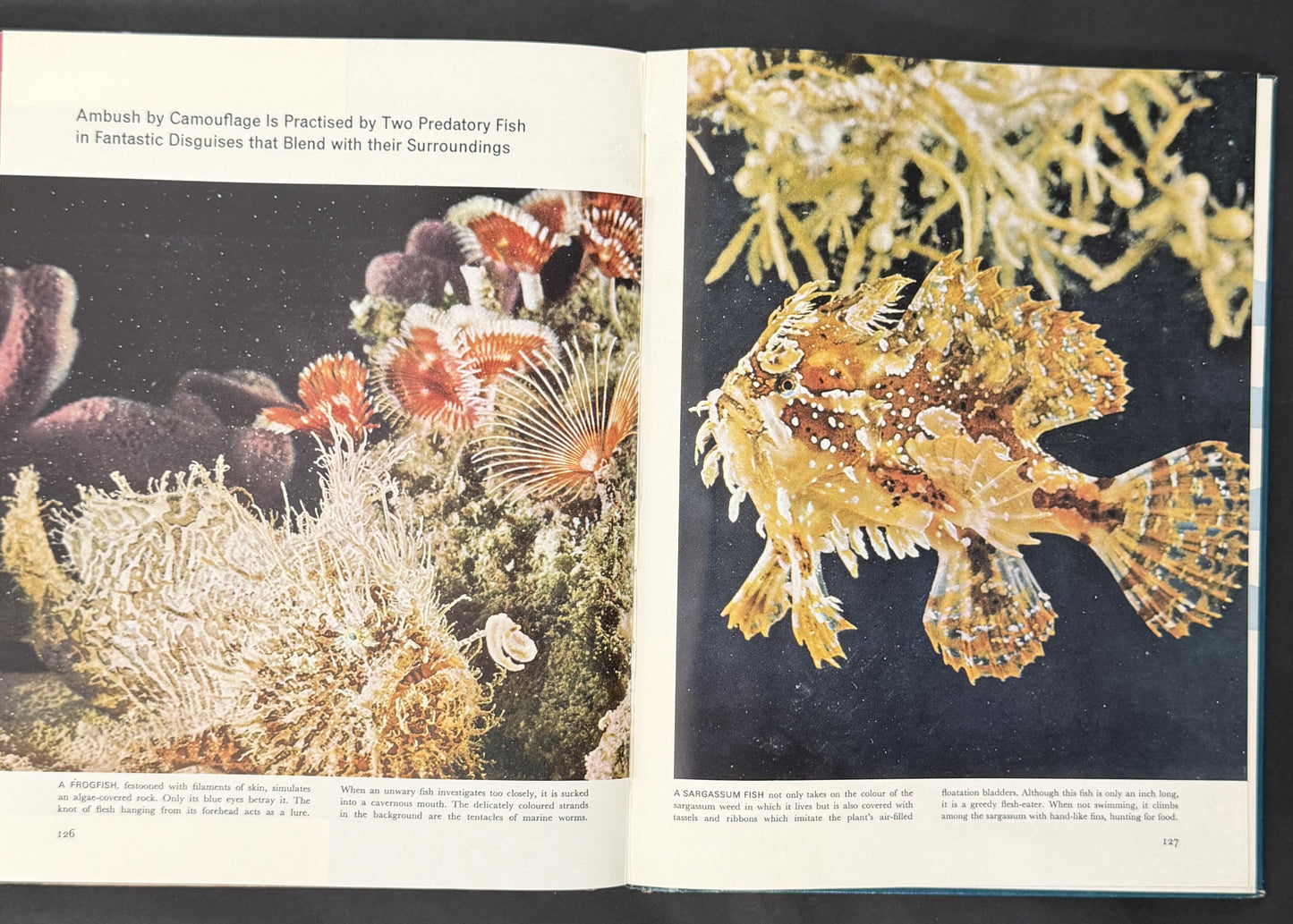 The Sea by The Editors of Life