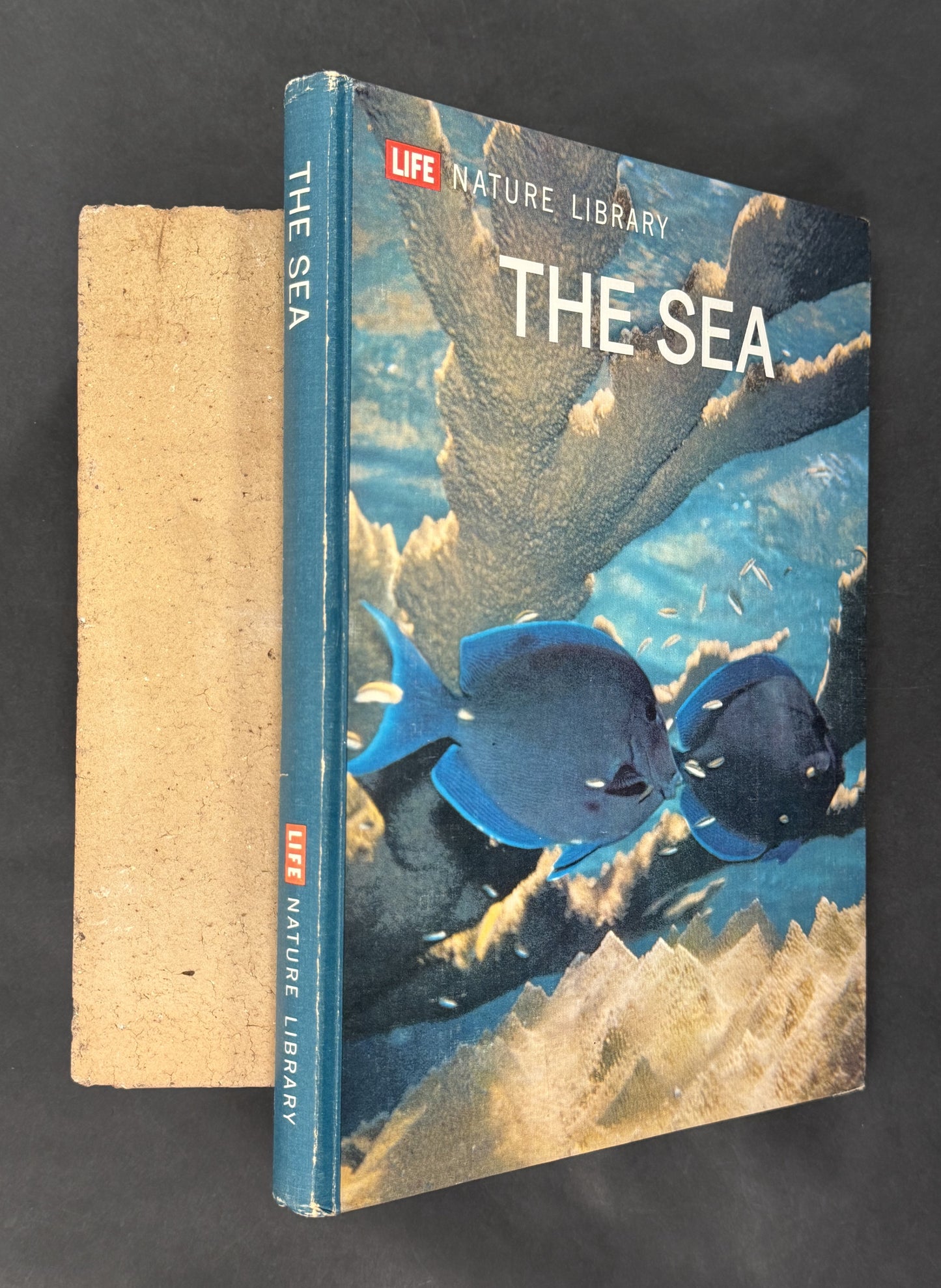 The Sea by The Editors of Life