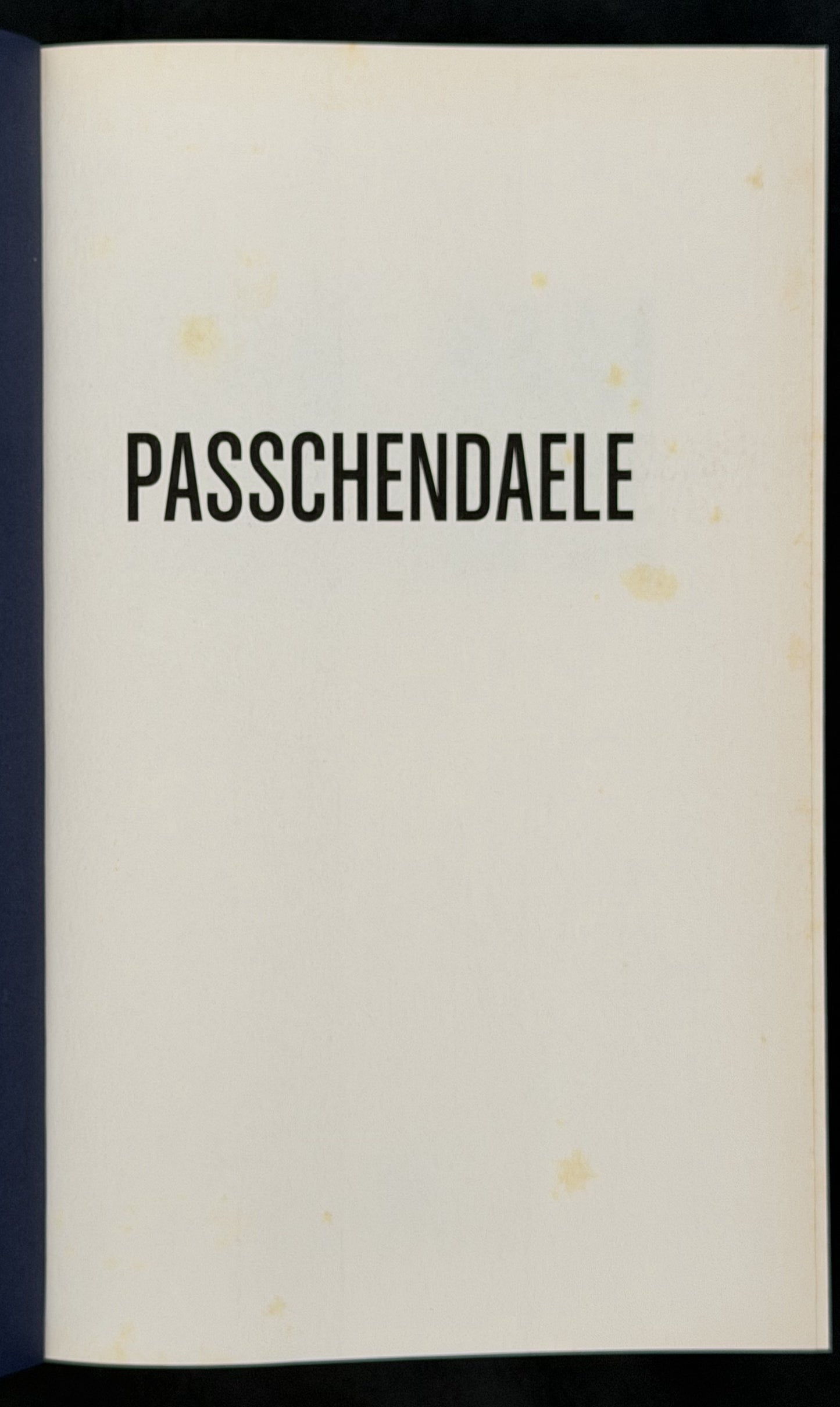 Passchendaele by Paul Ham