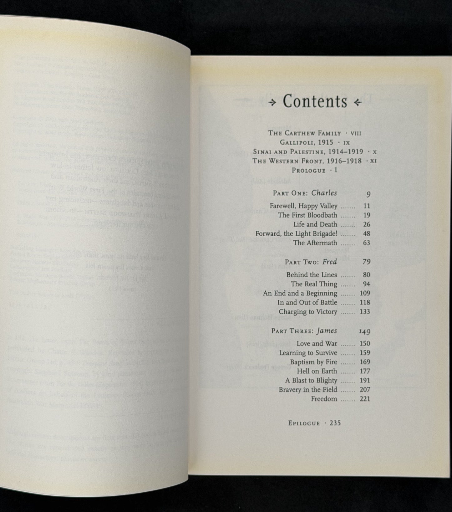 Voices from the Trenches by Noel Carthew