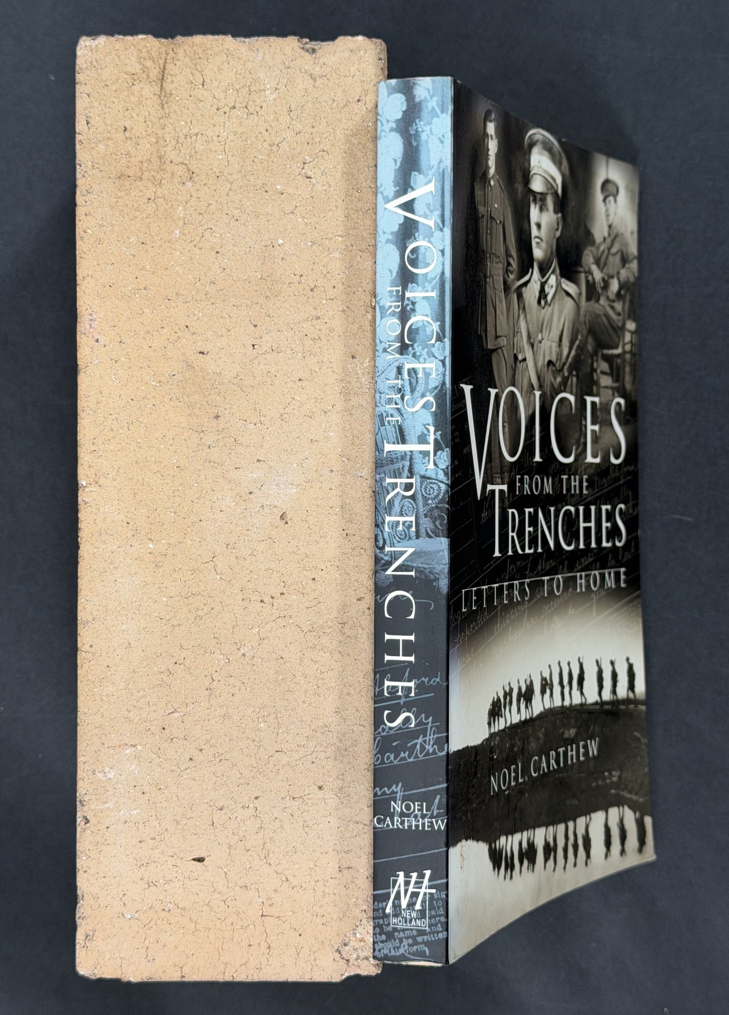 Voices from the Trenches by Noel Carthew
