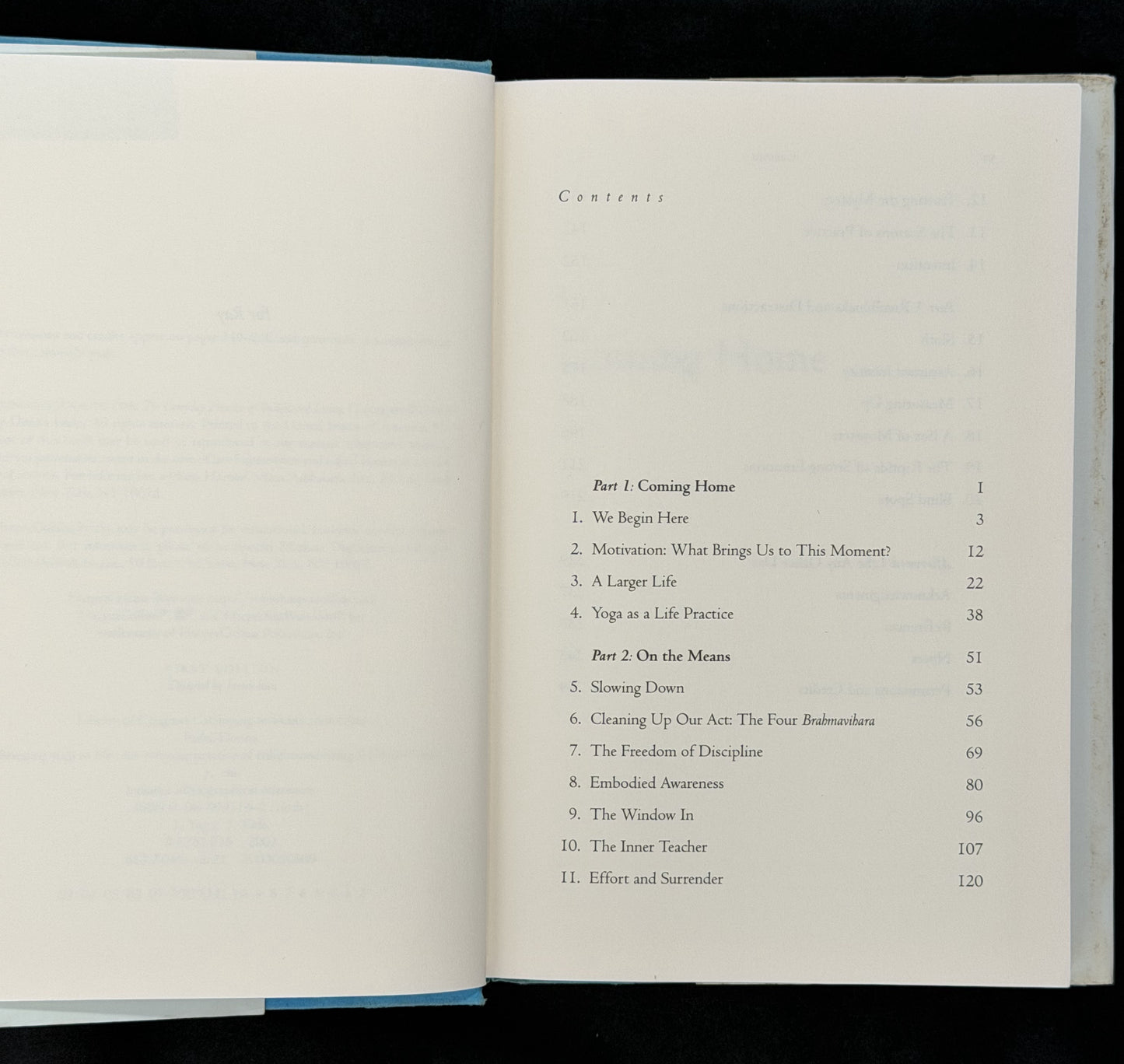 Bringing Yoga to Life by Donna Farhi
