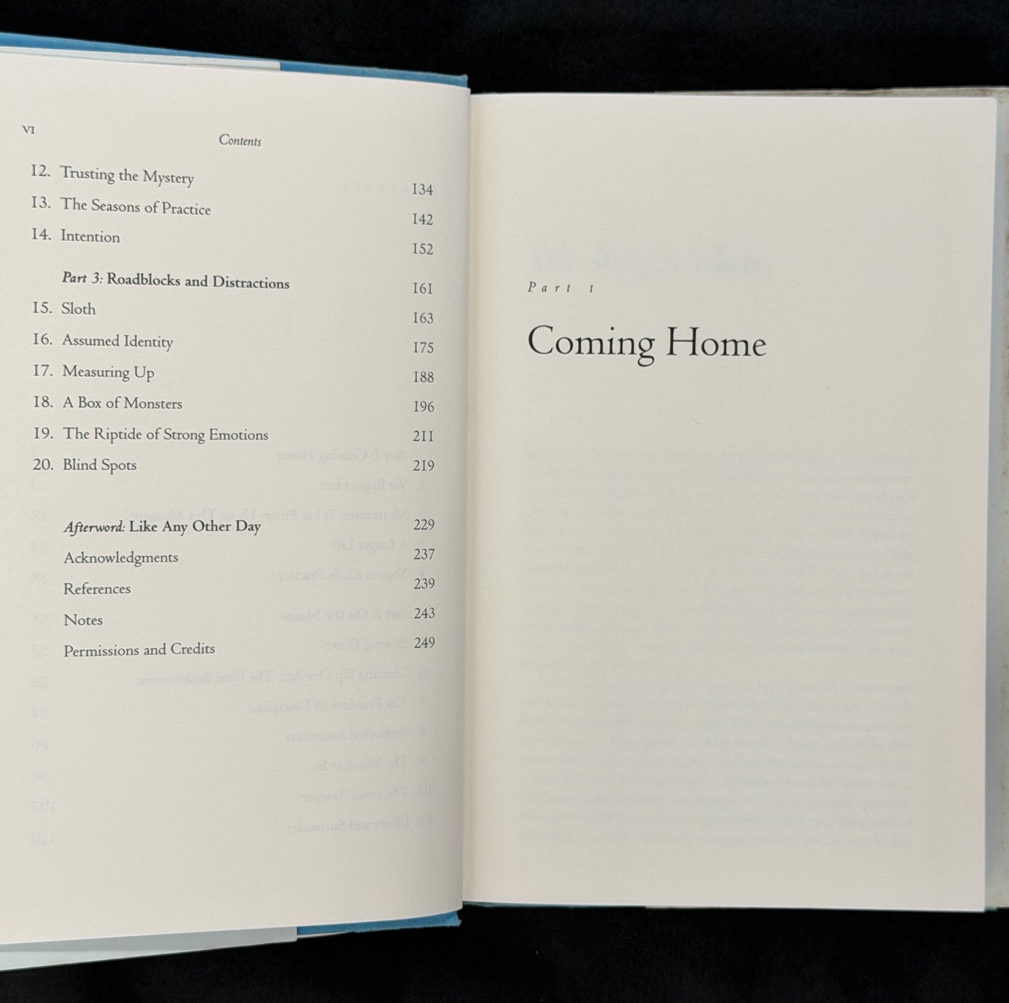 Bringing Yoga to Life by Donna Farhi