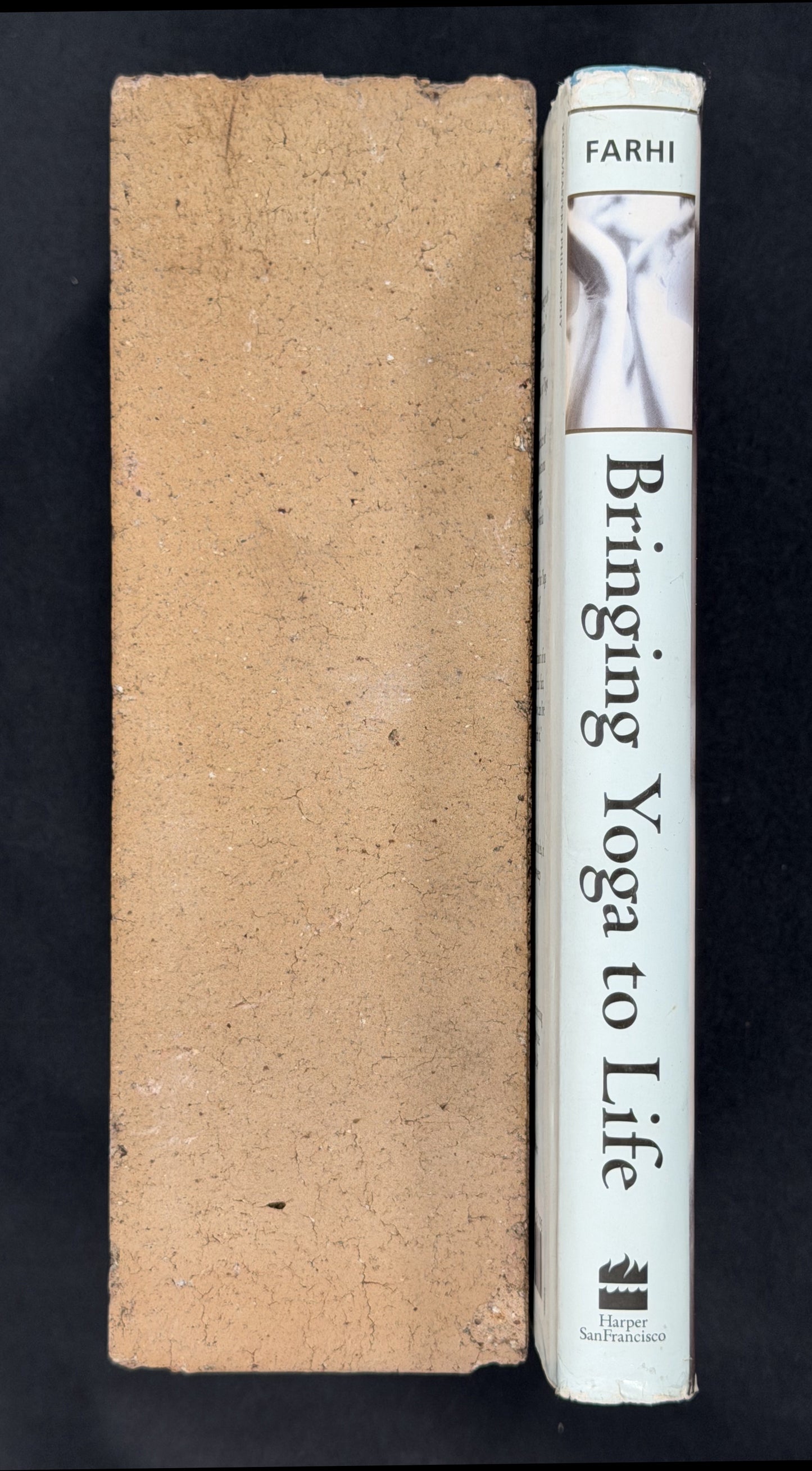 Bringing Yoga to Life by Donna Farhi