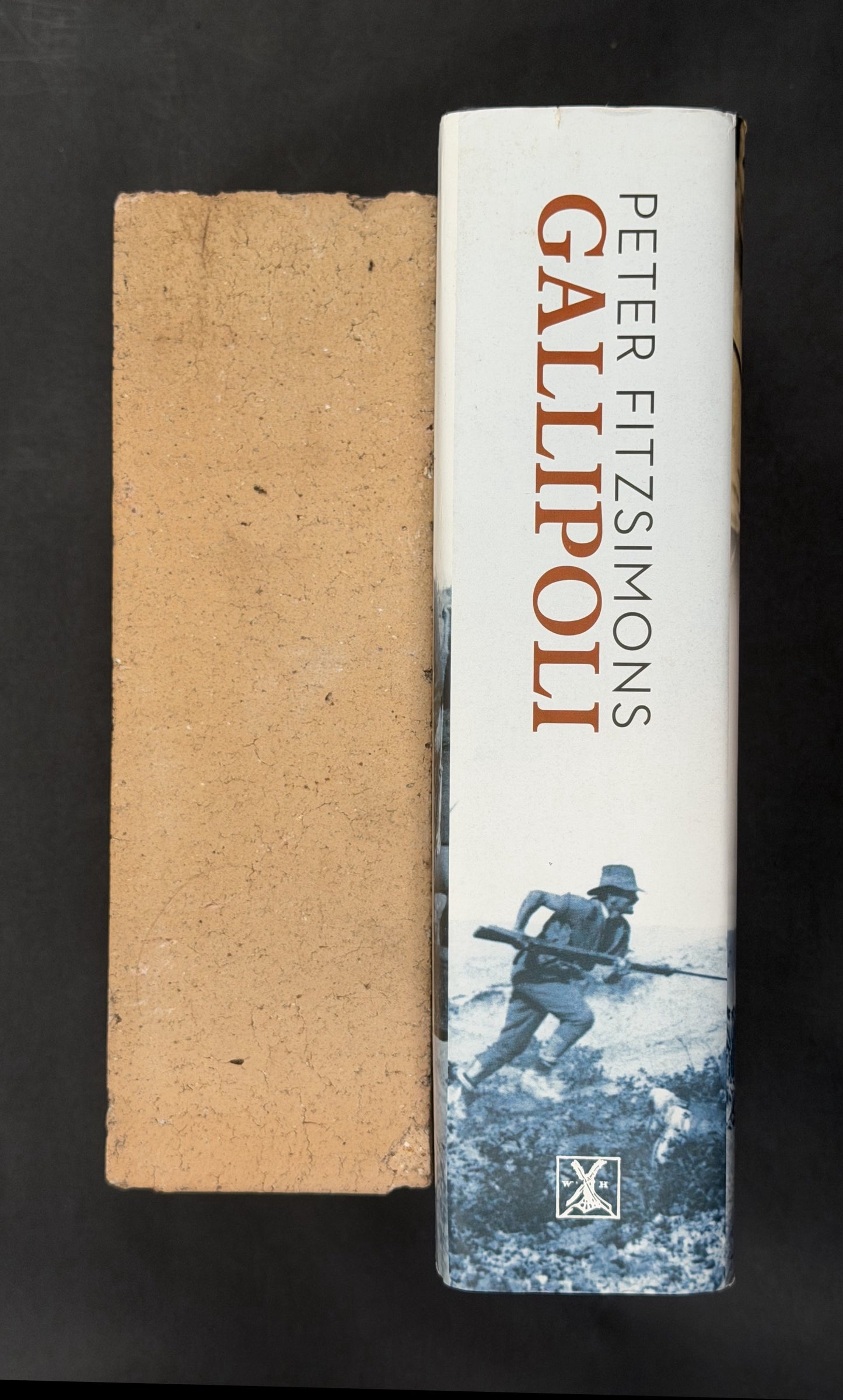 Gallipoli by Peter FitzSimons