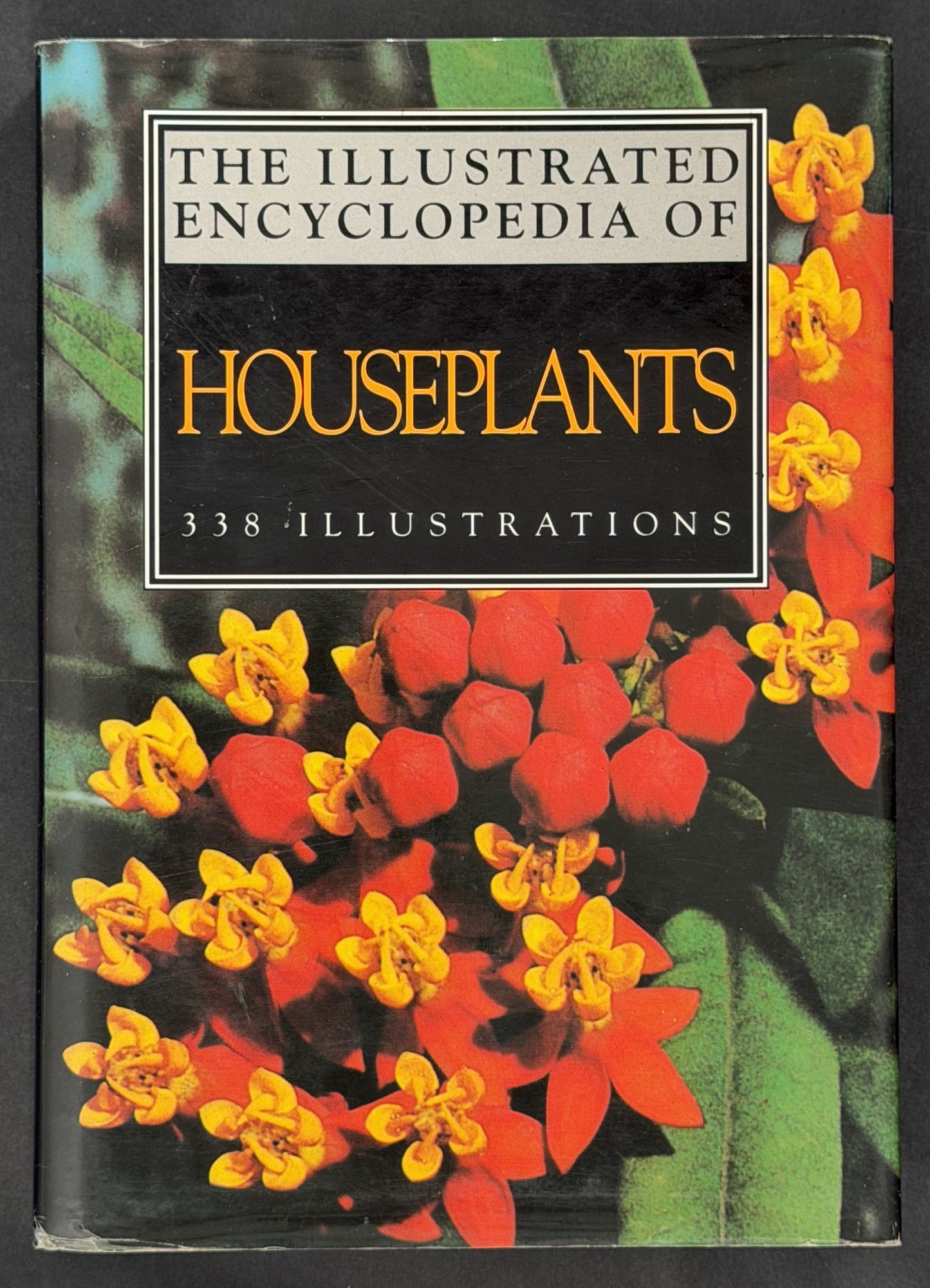 Illustrated Encyclopedia of Houseplants by Anna Skalická, Rudolf Šubík