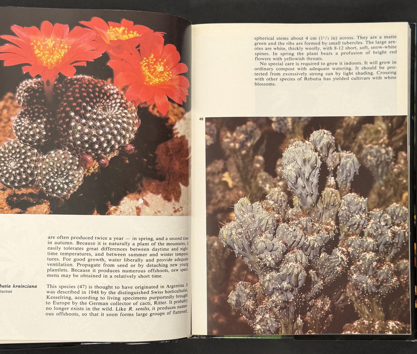Illustrated Encyclopedia of Houseplants by Anna Skalická, Rudolf Šubík