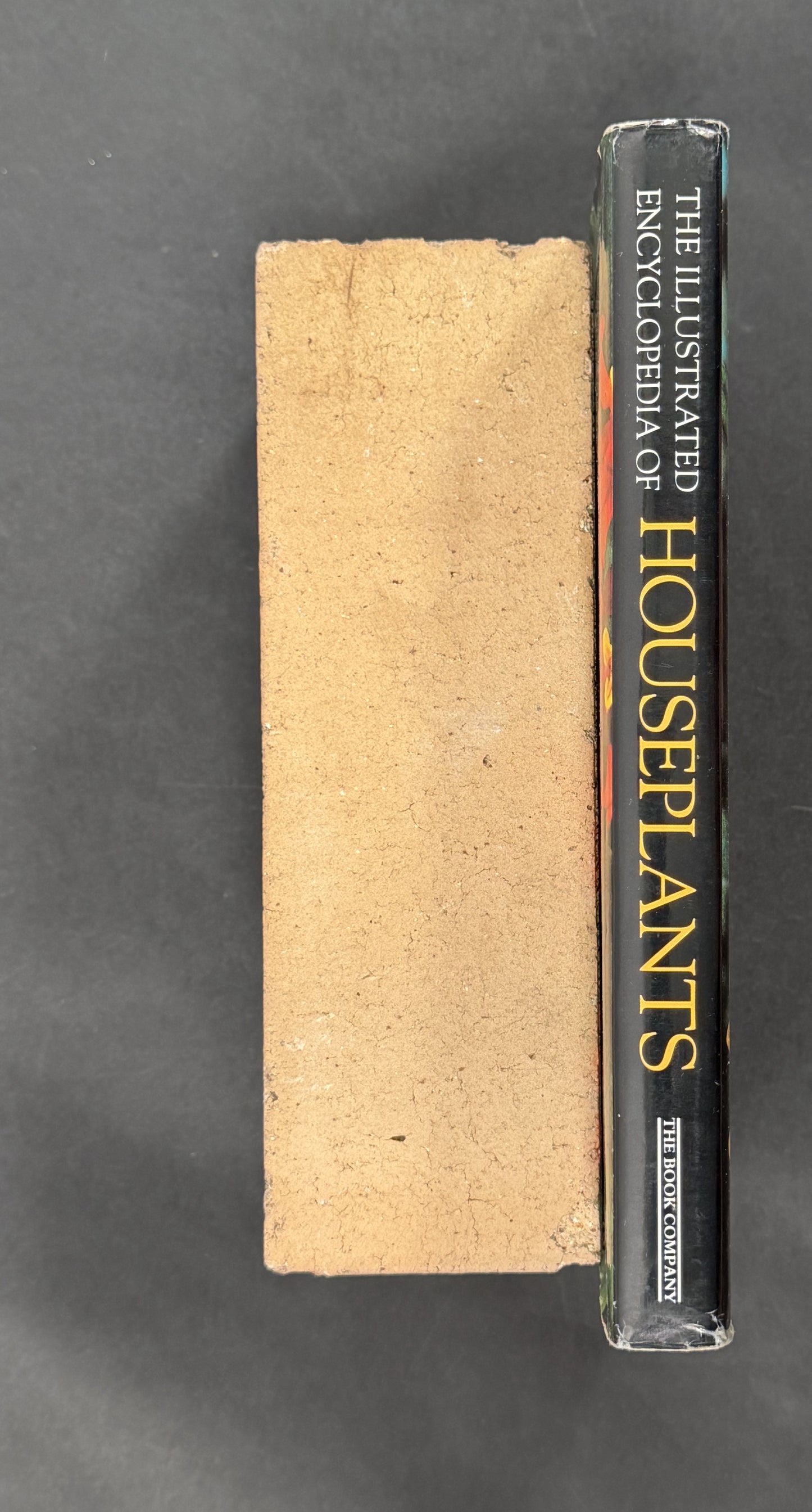 Illustrated Encyclopedia of Houseplants by Anna Skalická, Rudolf Šubík